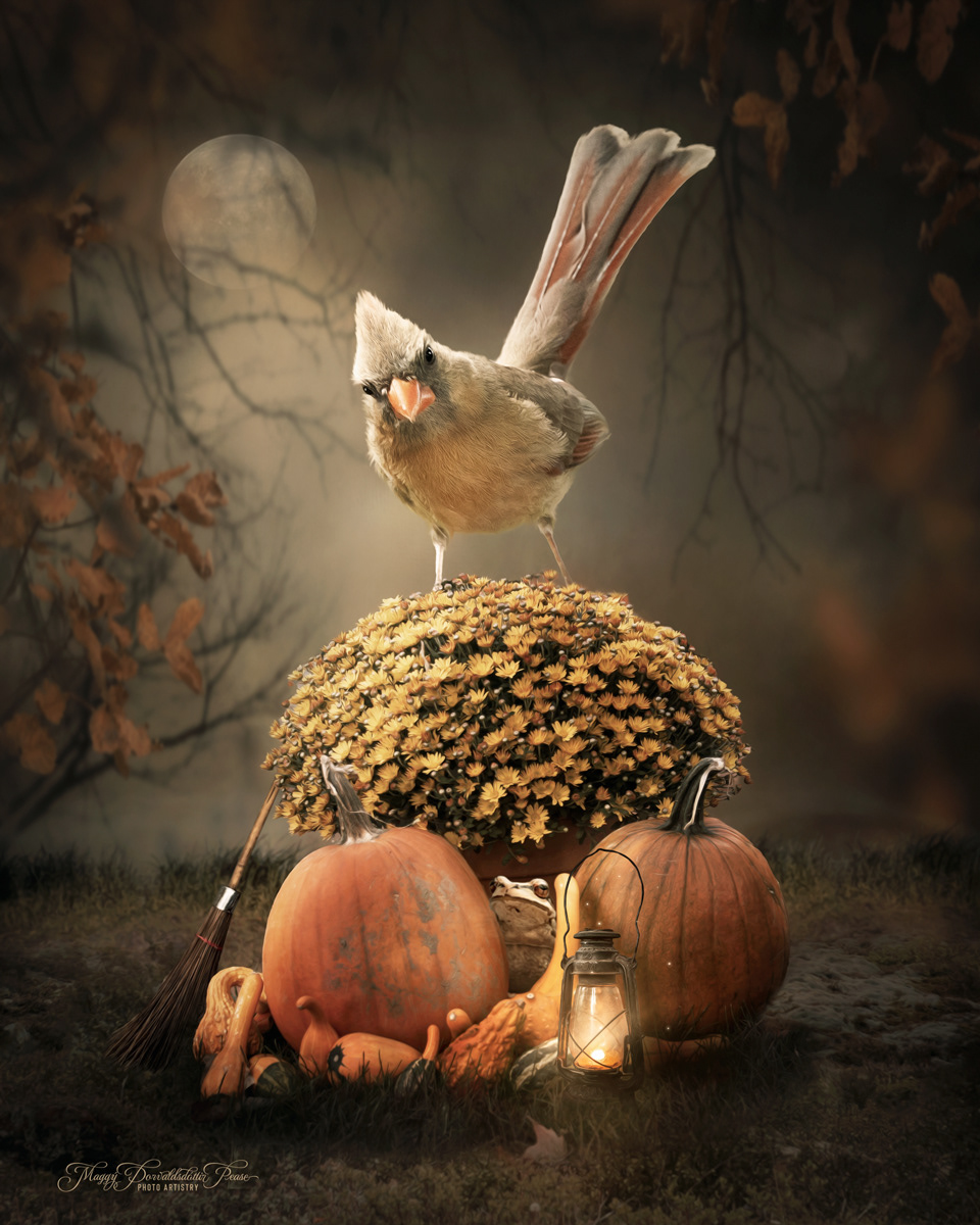 Autumn Harvest