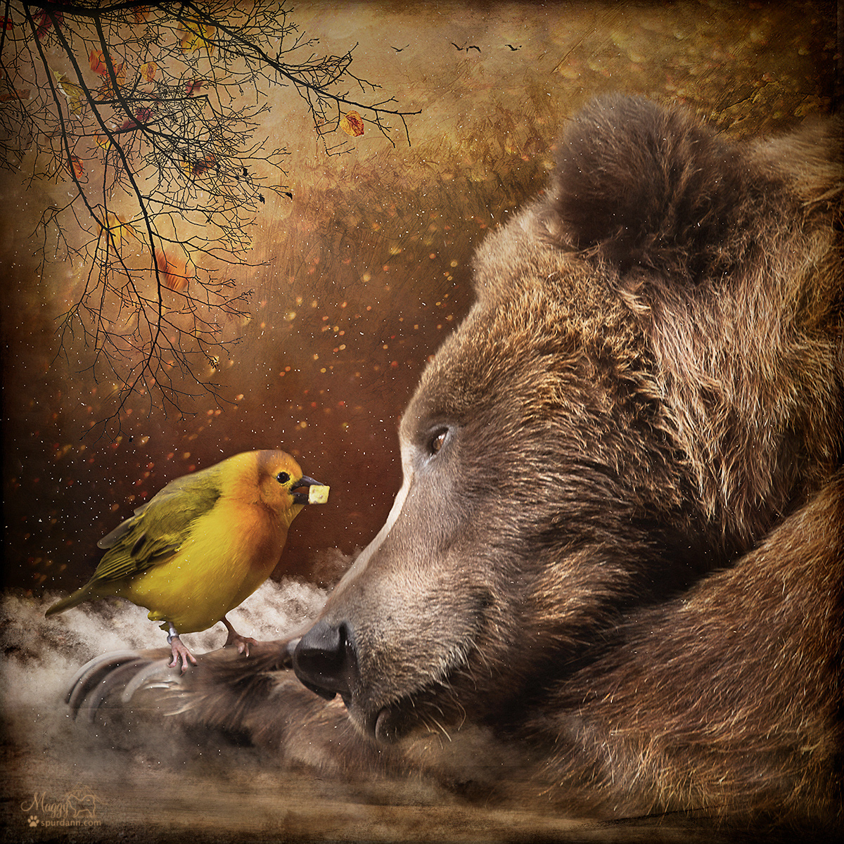 The Gift