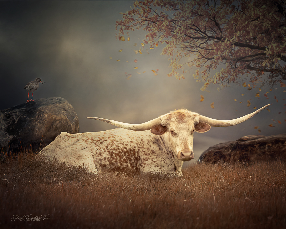 Nature's Quiet Moment