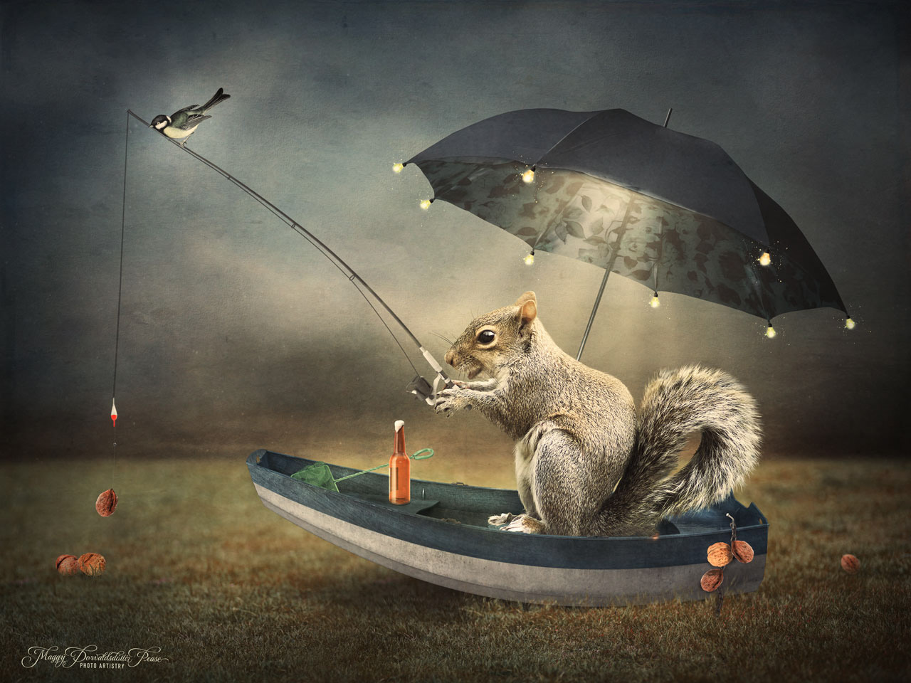 Fishing for nuts.