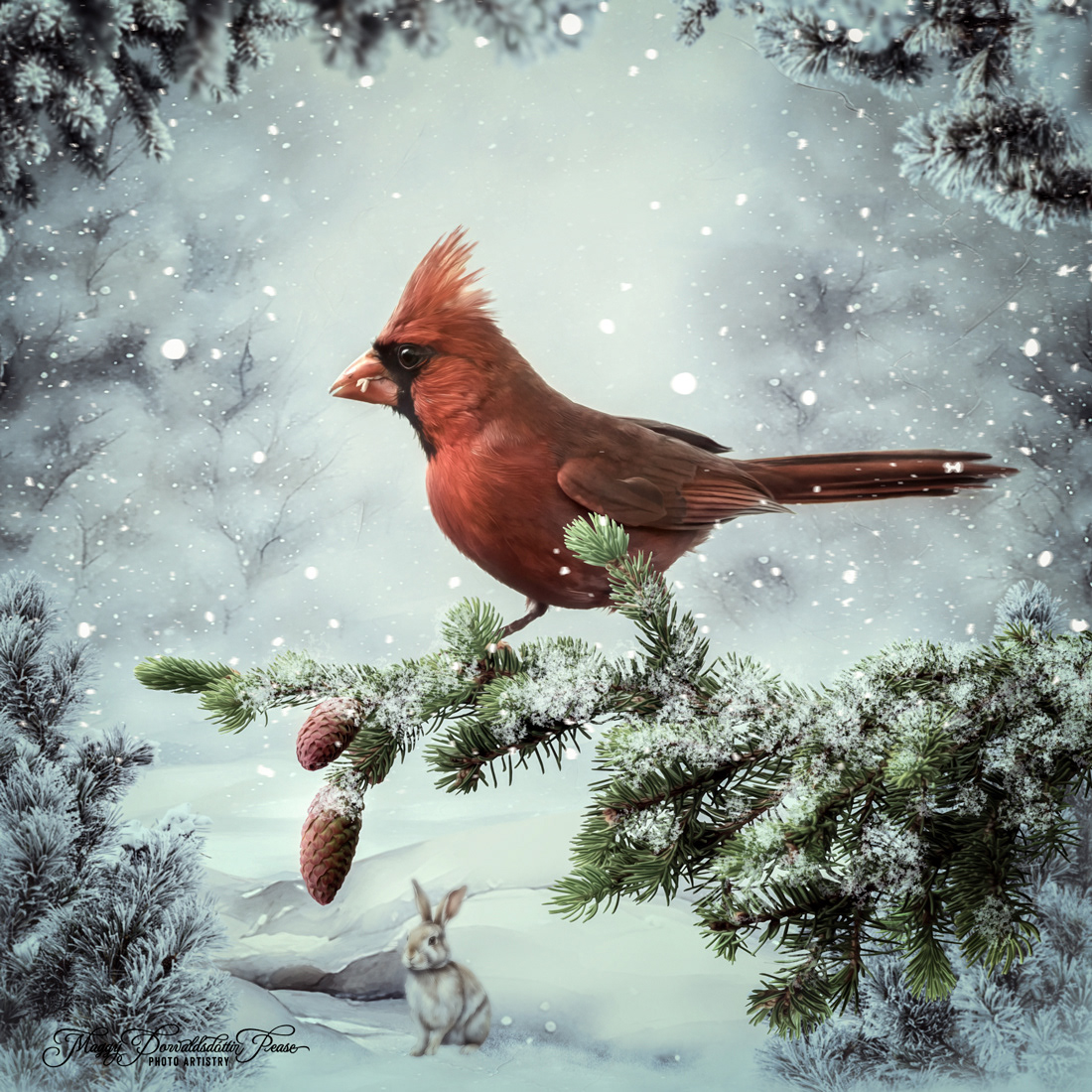 Winter Serenity