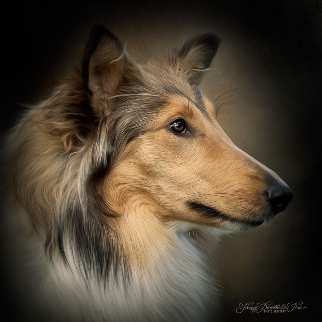 Loppa, Rough Collie