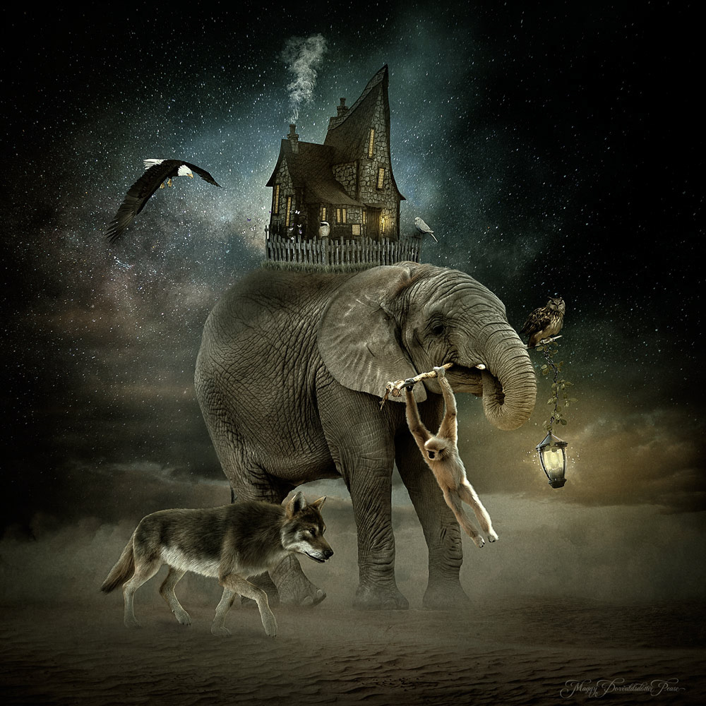 Journey to the unknown
