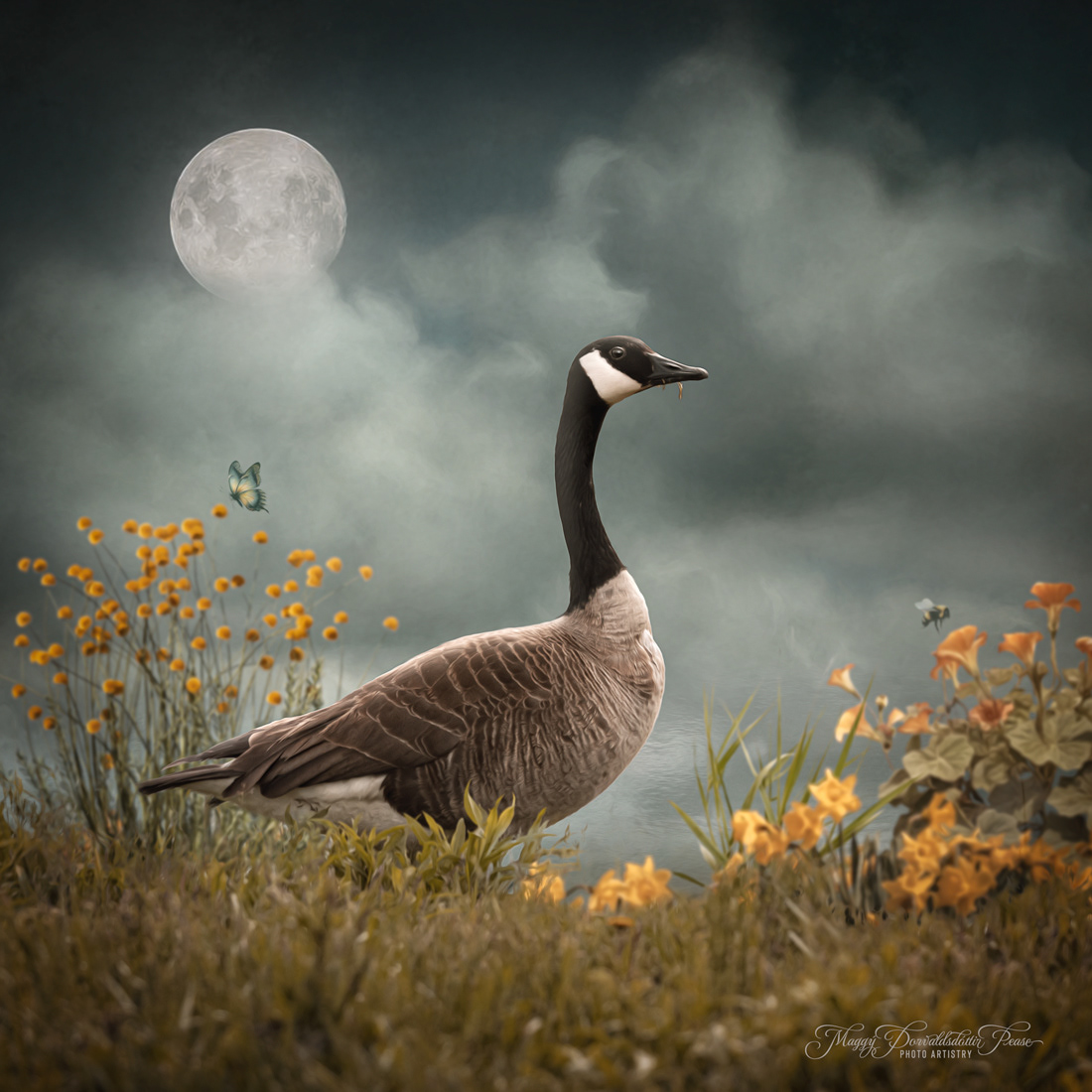 The Goose's Garden