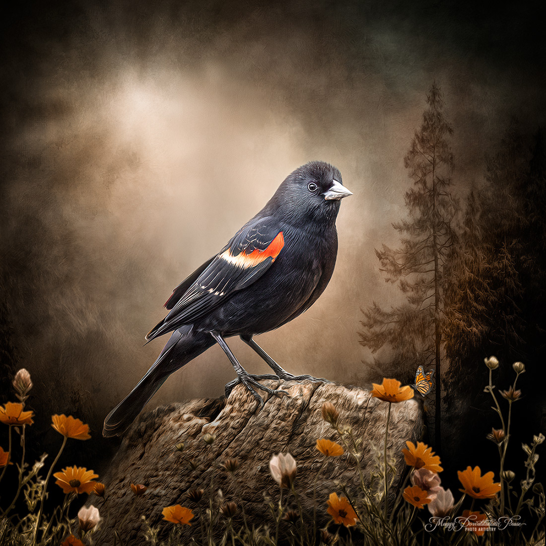 Red-winged Blackbird