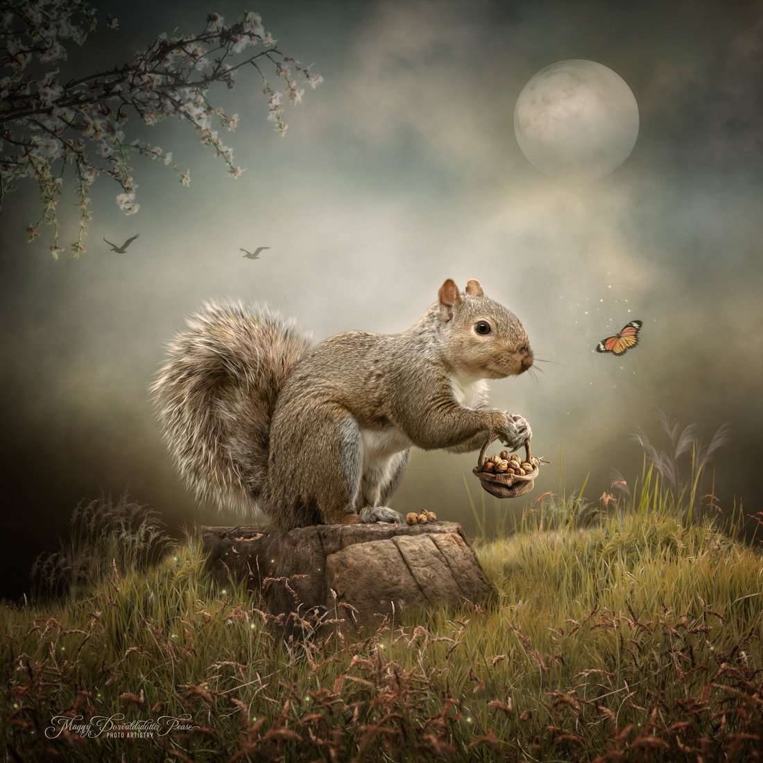 Nut Collector
