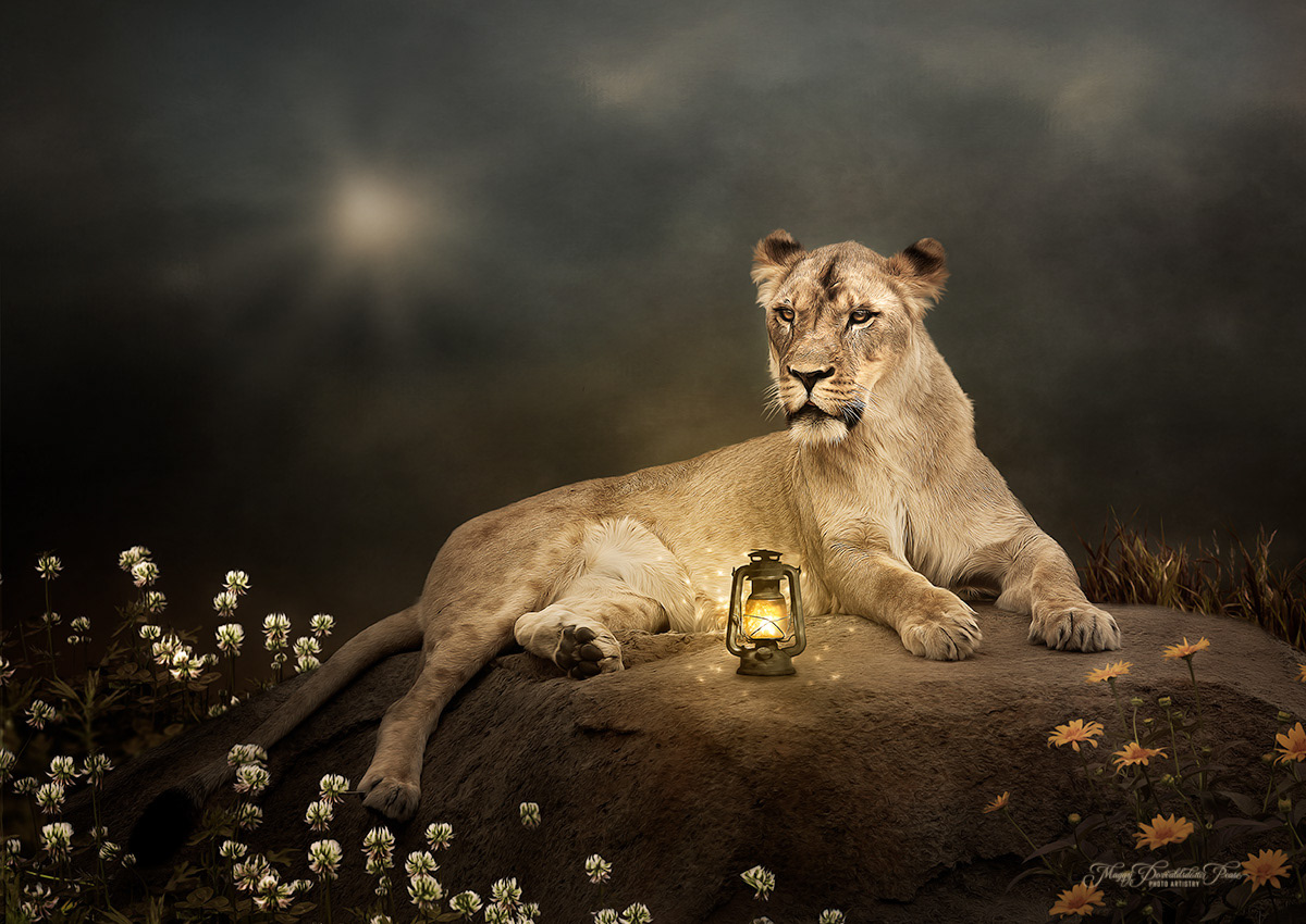 Dawn's Keeper