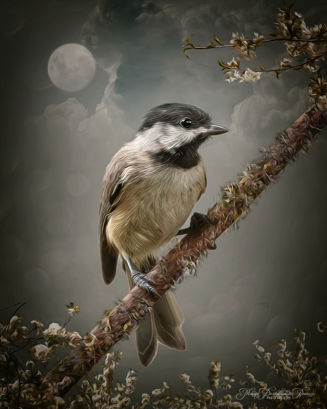 Whispers in the Night 