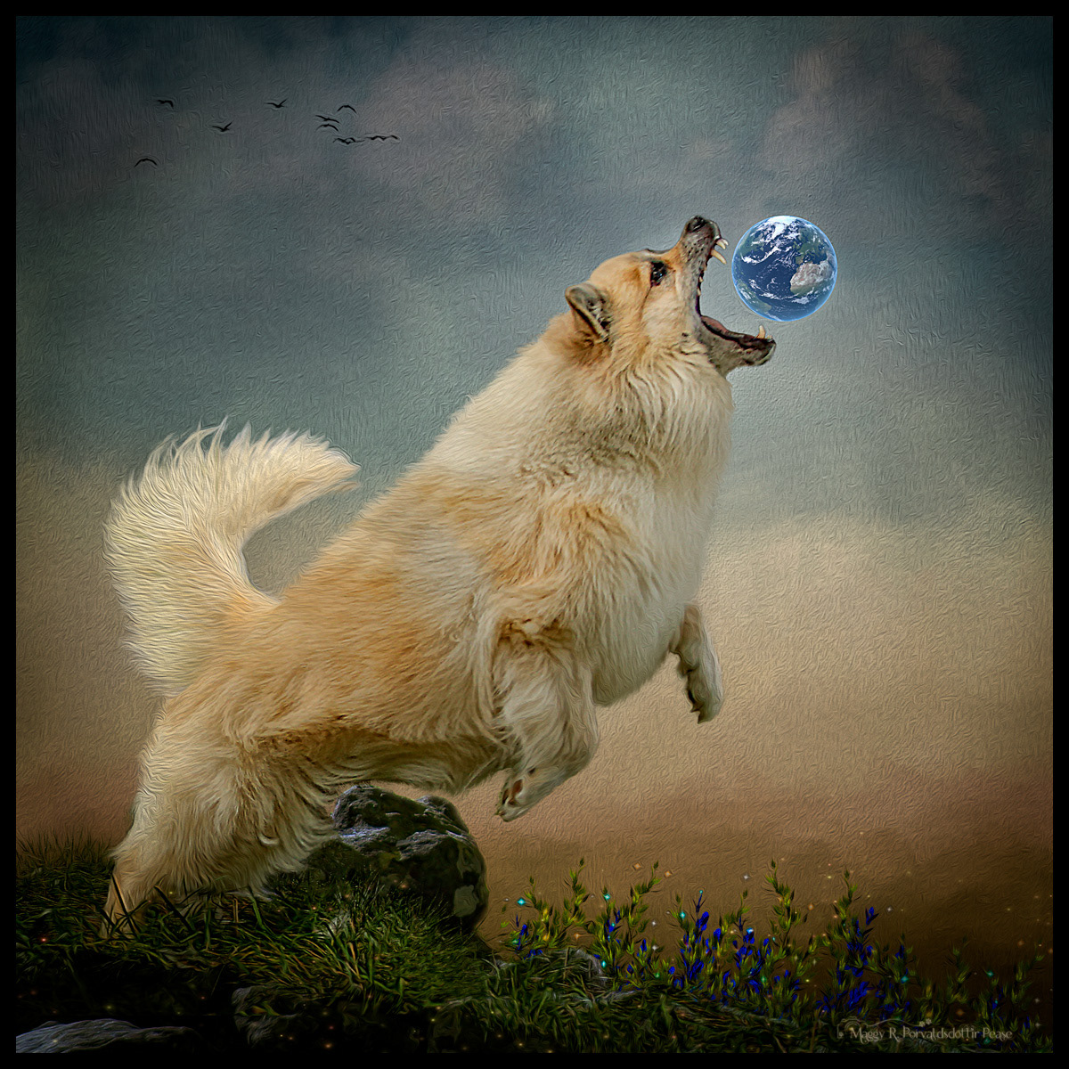 Chasing the World (Spurðann)