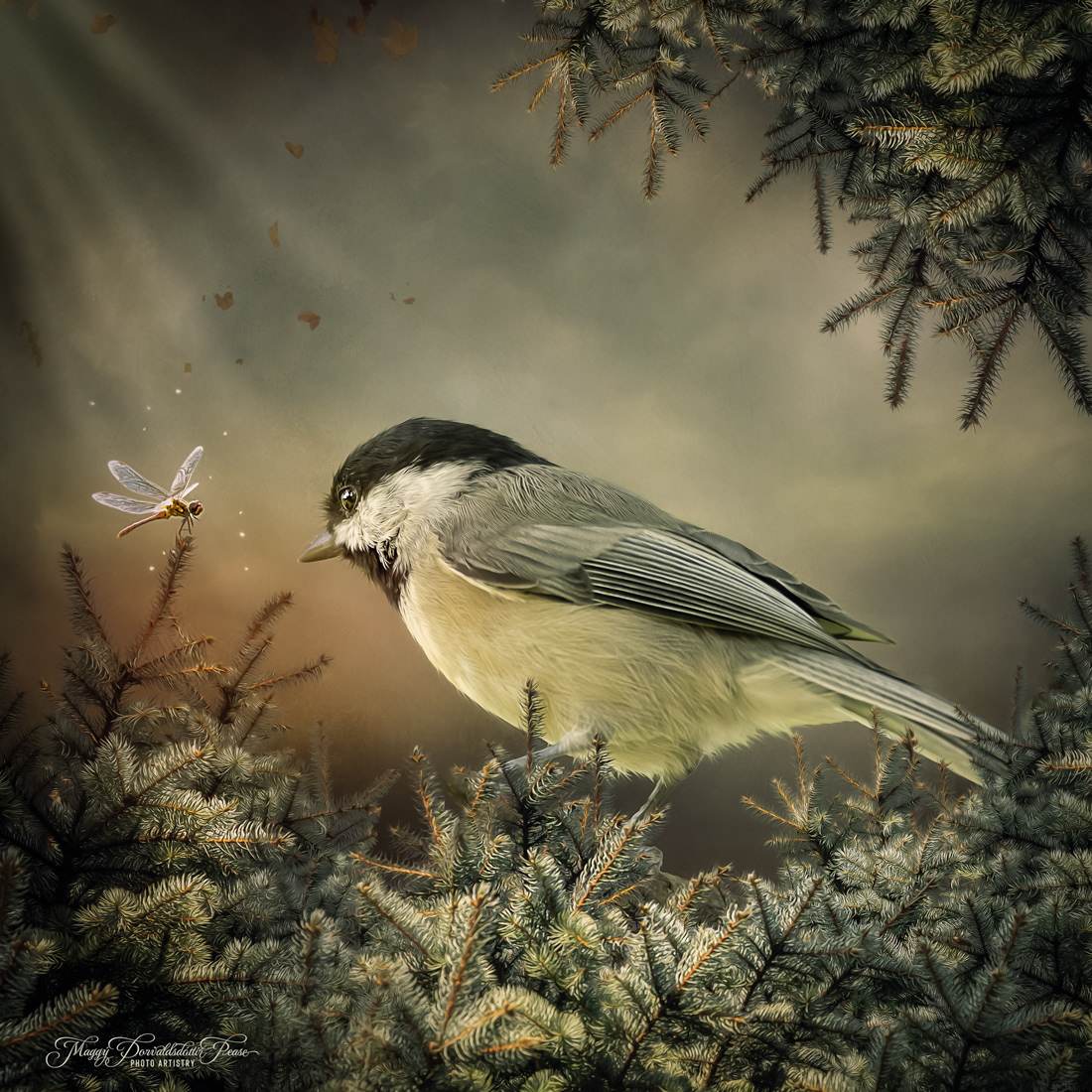 Chickadee and the Dragonfly