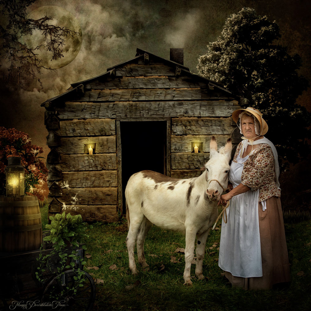 Jana's Donkey