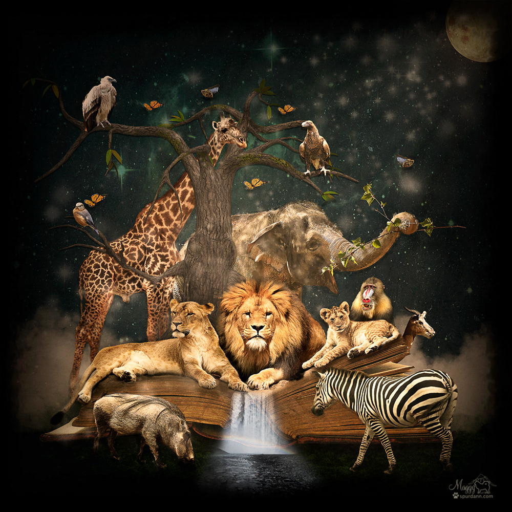 The Kingdom