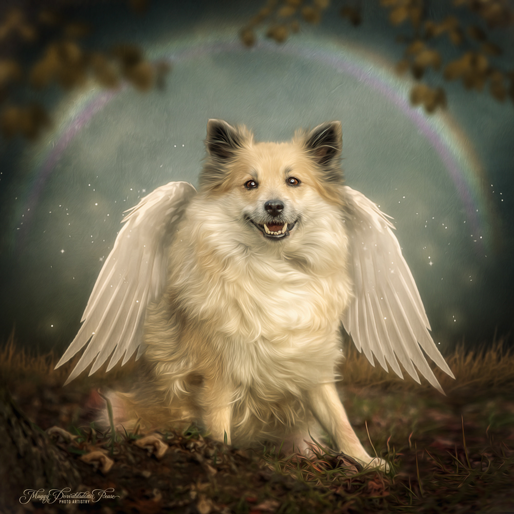 Nella, our little angle in heaven