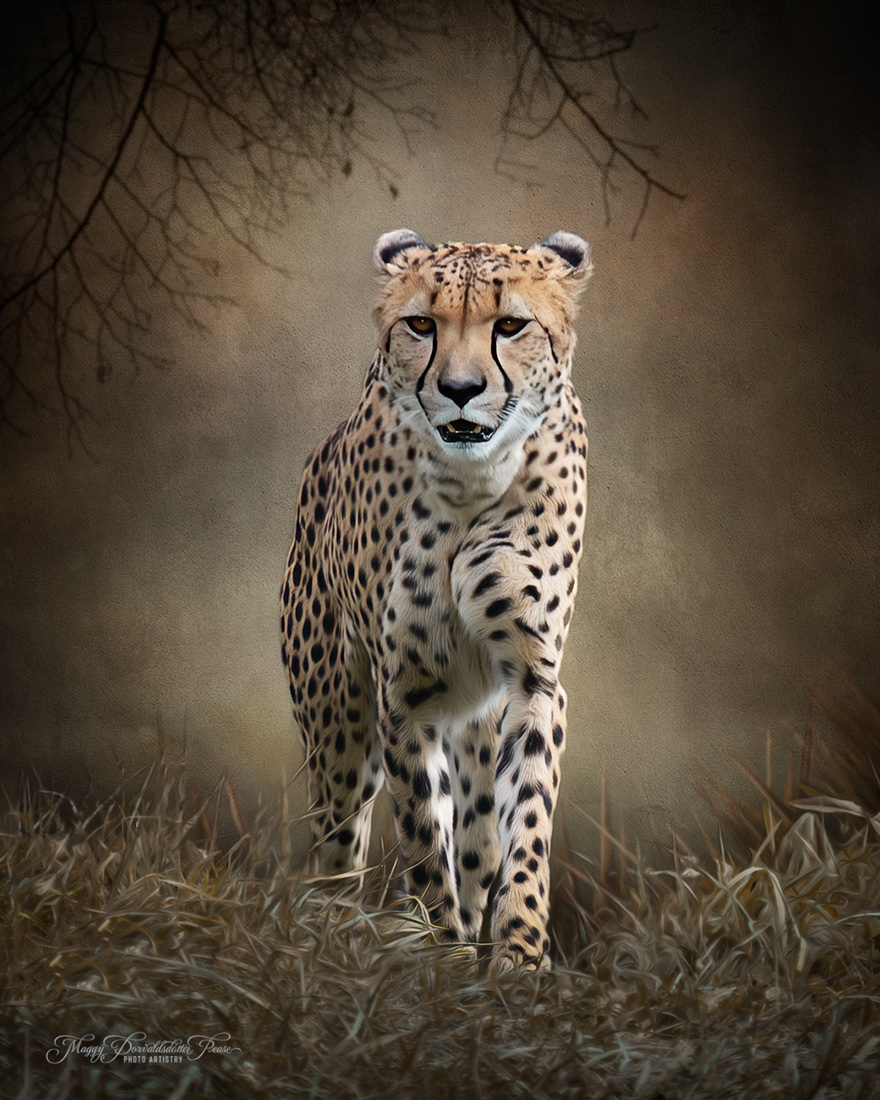 Hunter