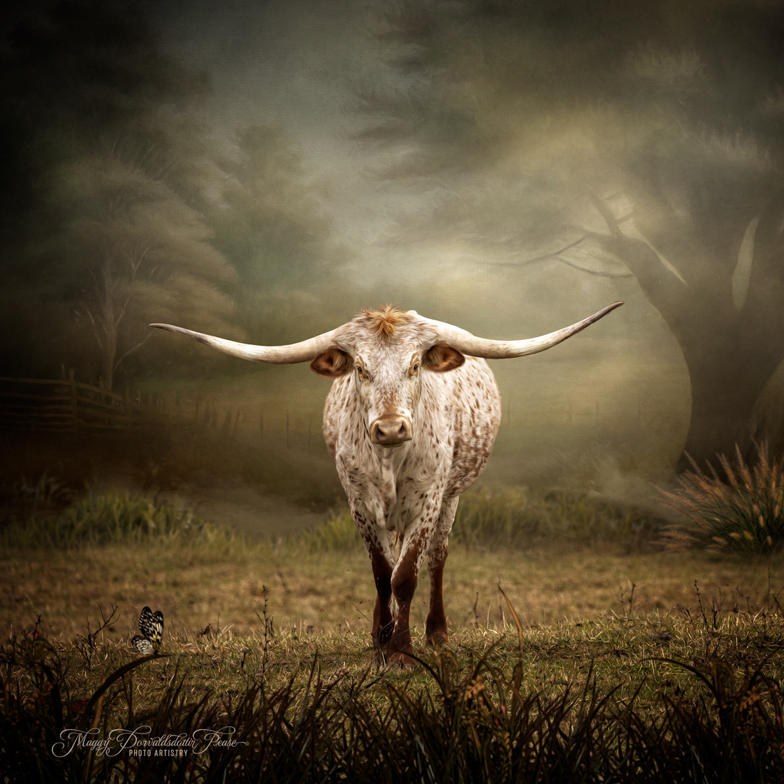 Lonestar