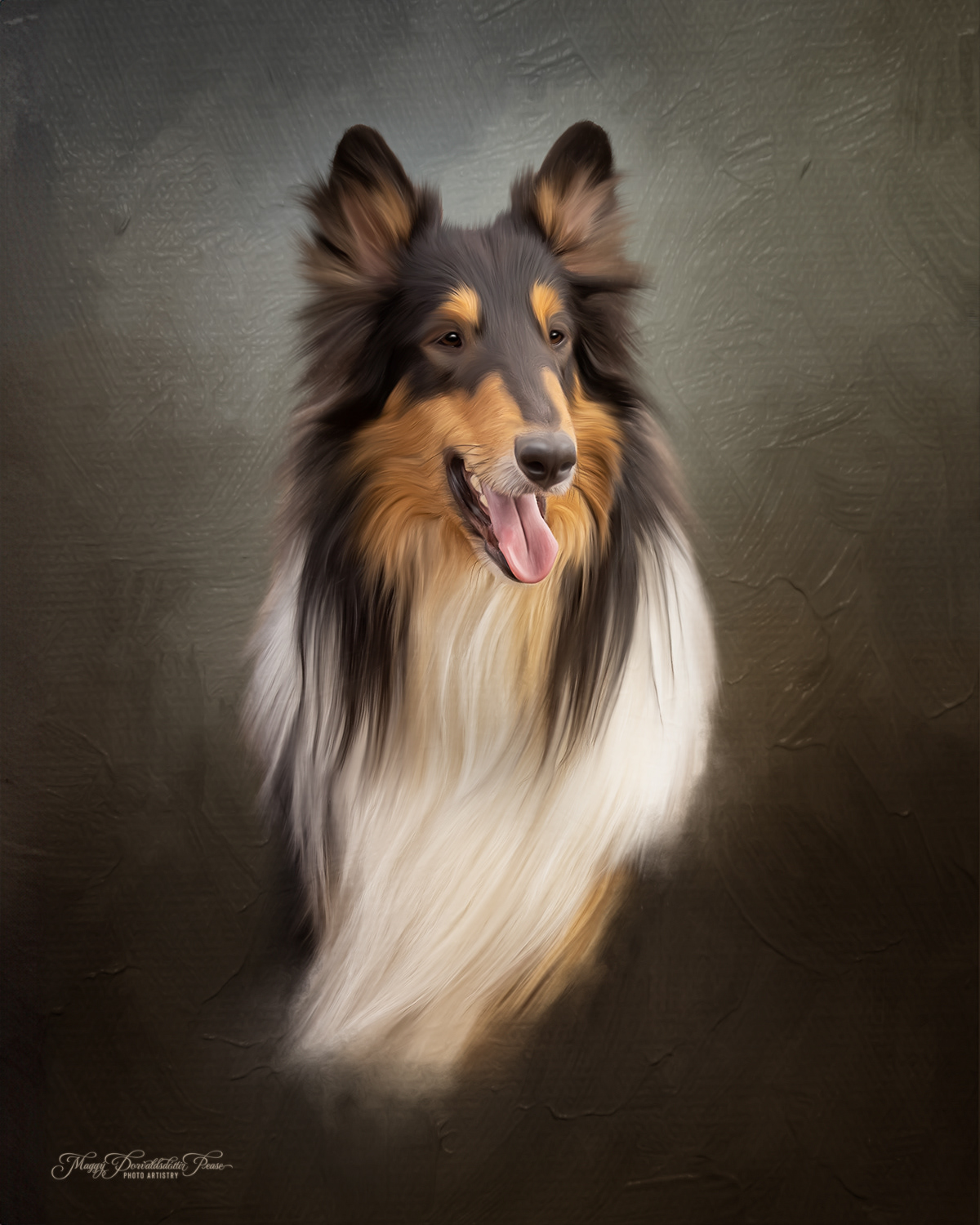 Rough Collie