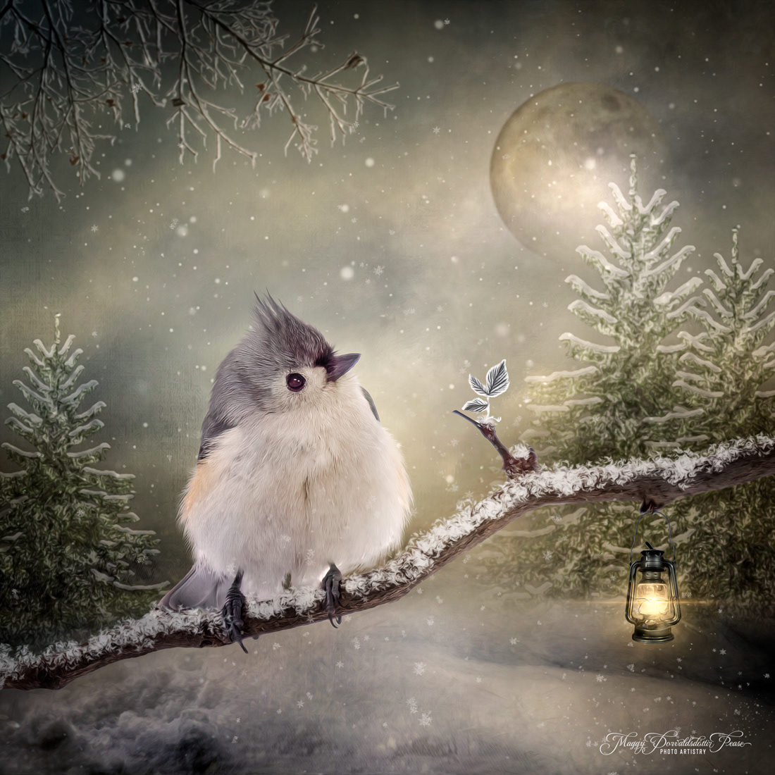 Winterland