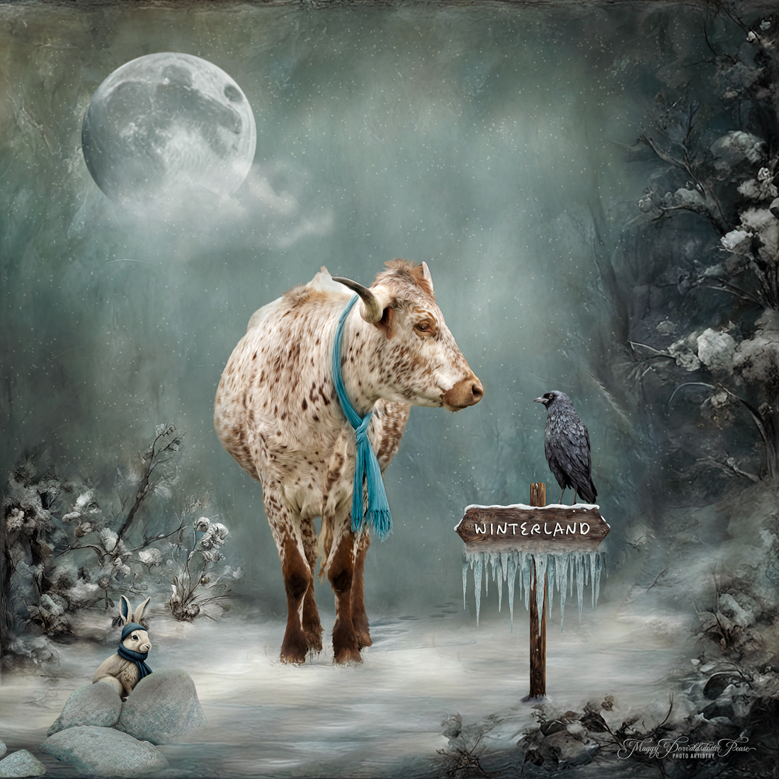 Winterland