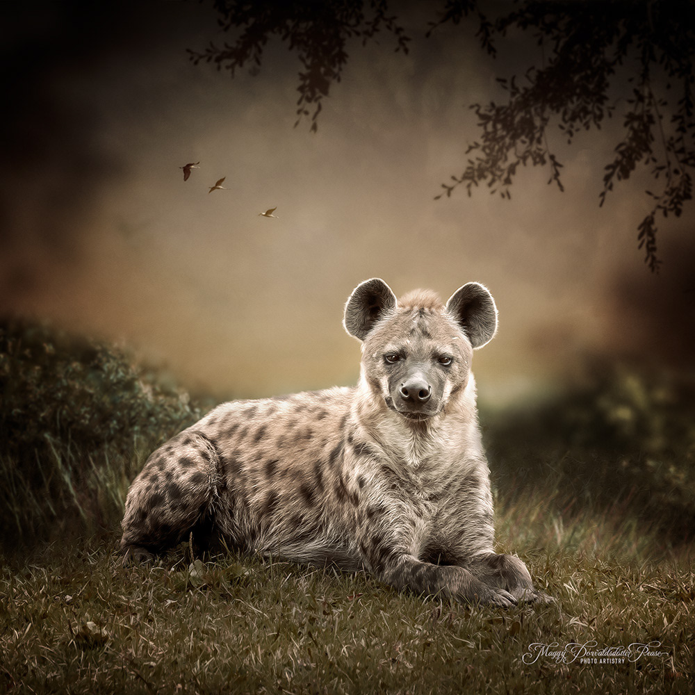 Whispers of the Wild