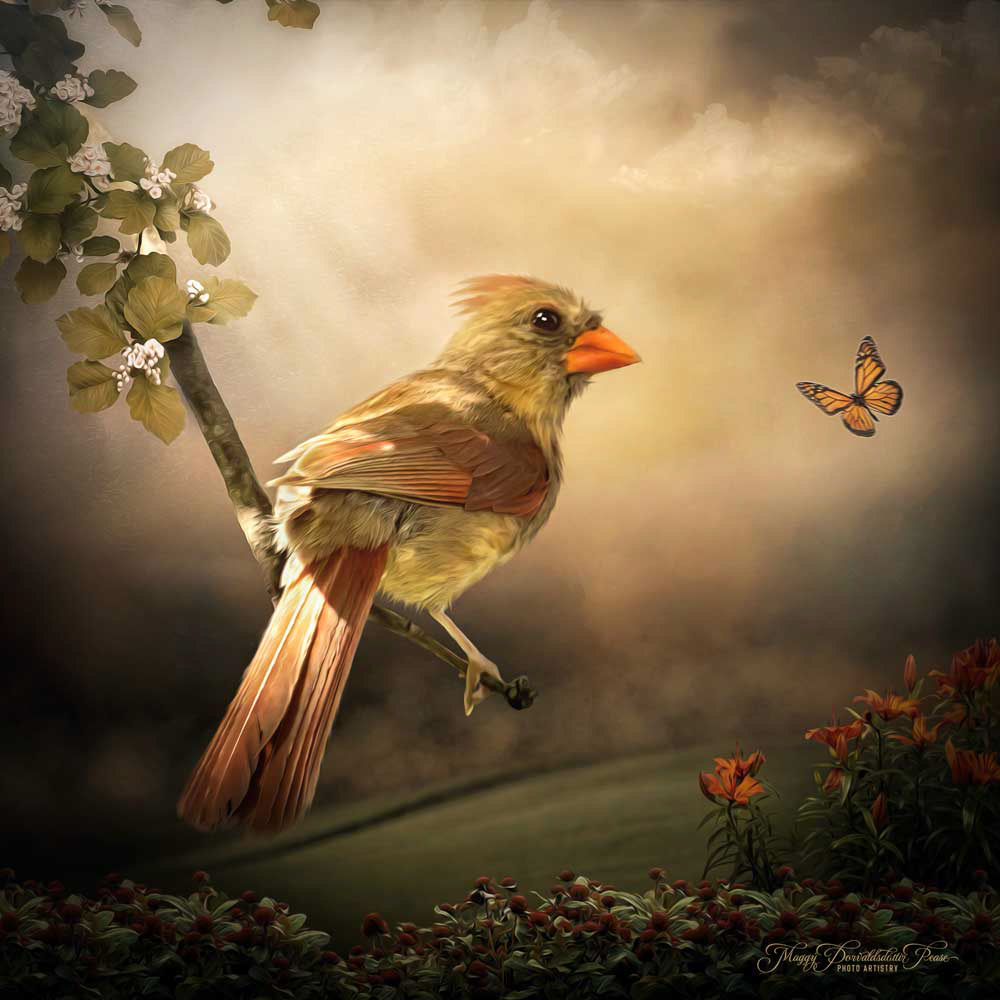Cardinal
