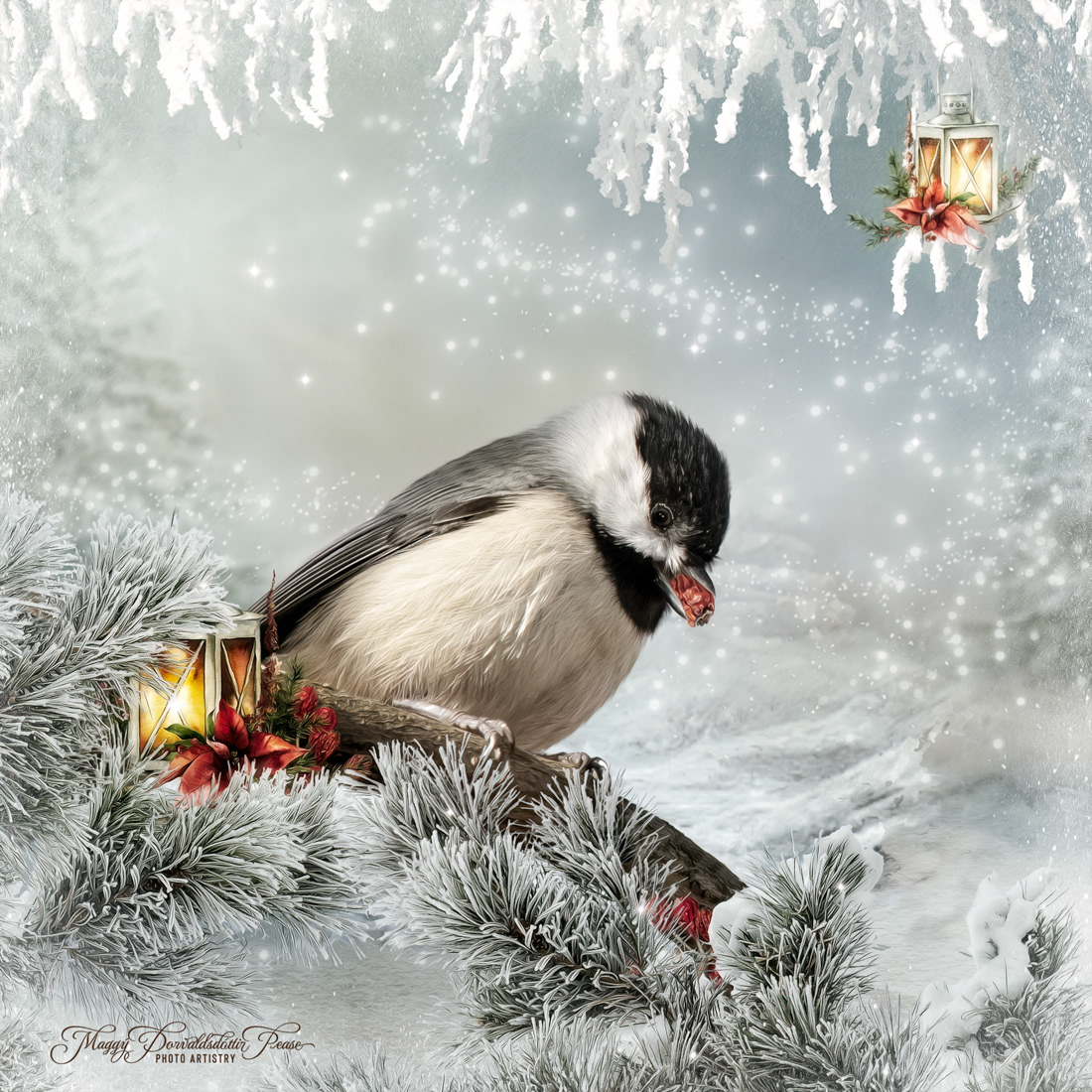 Midwinter Snack