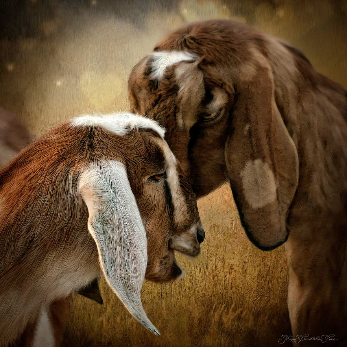 Love is in the air