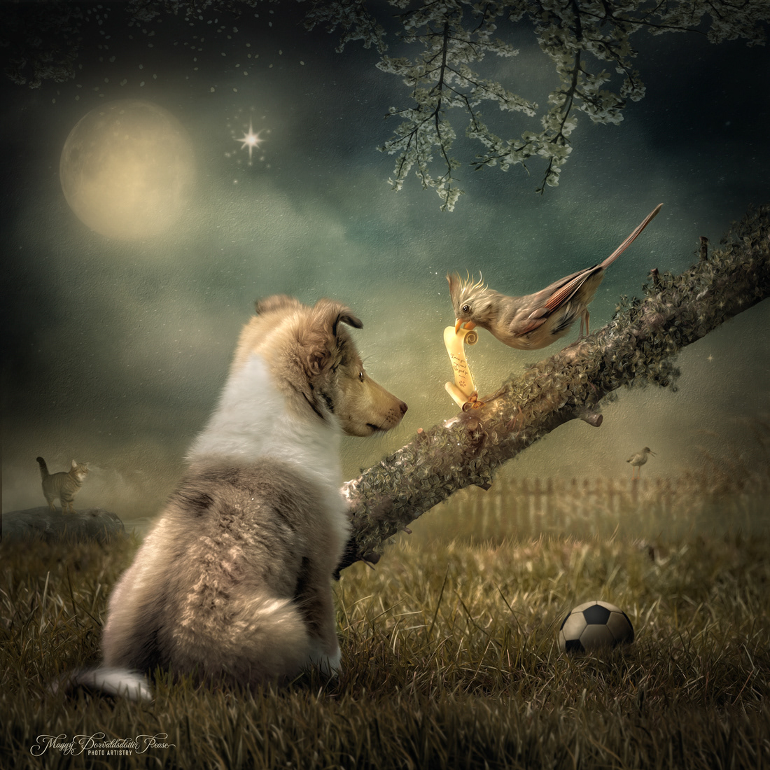 A message from a friend