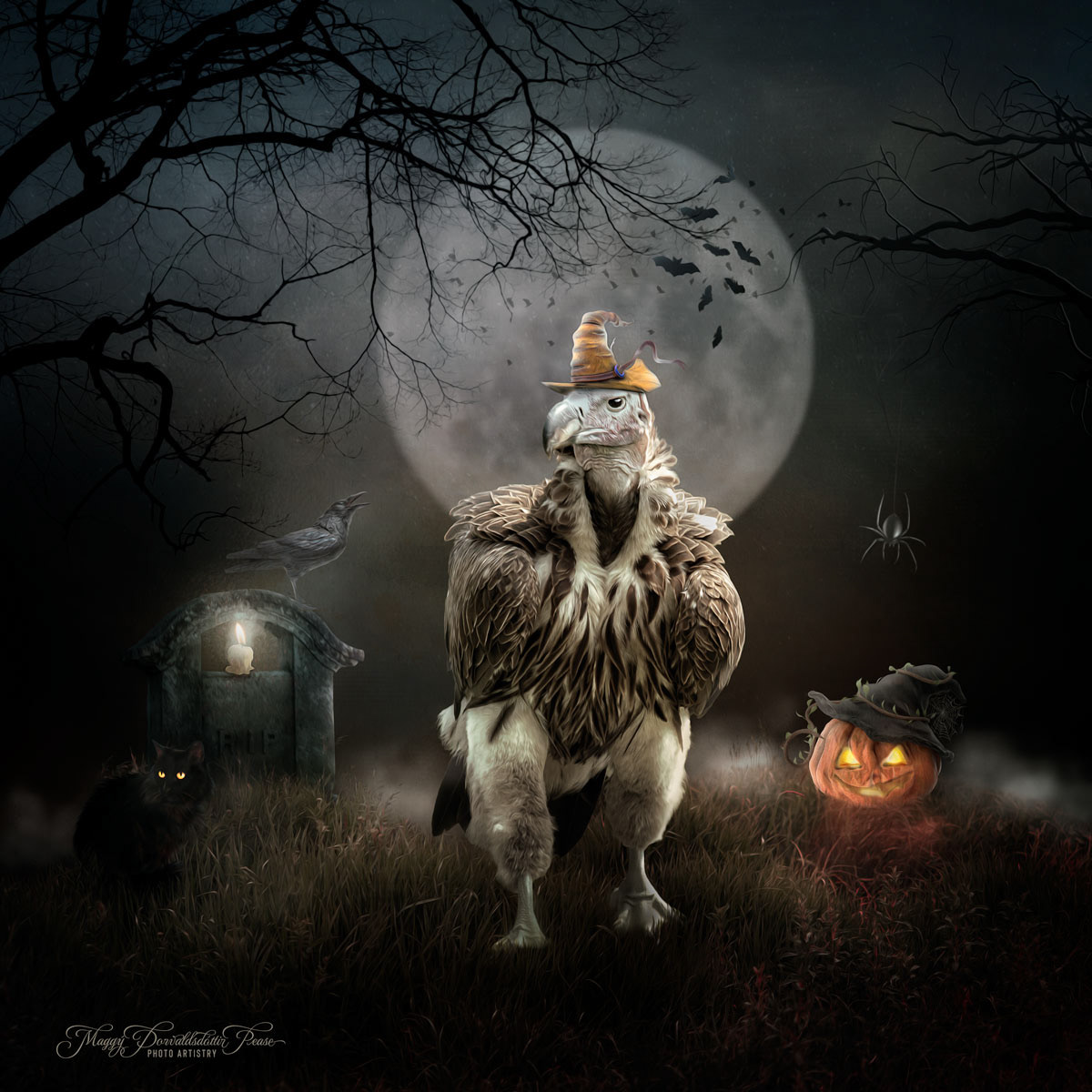 Getting ready for Halloween