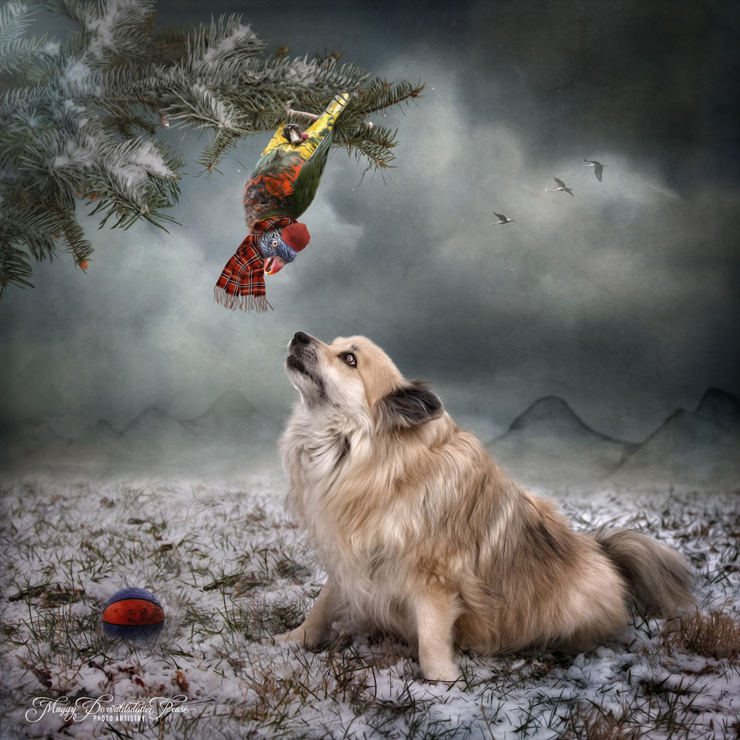 A visit from my southern cousin