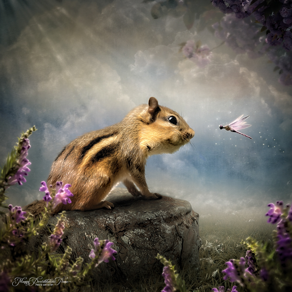 The adventures of Charlie the Chipmunk