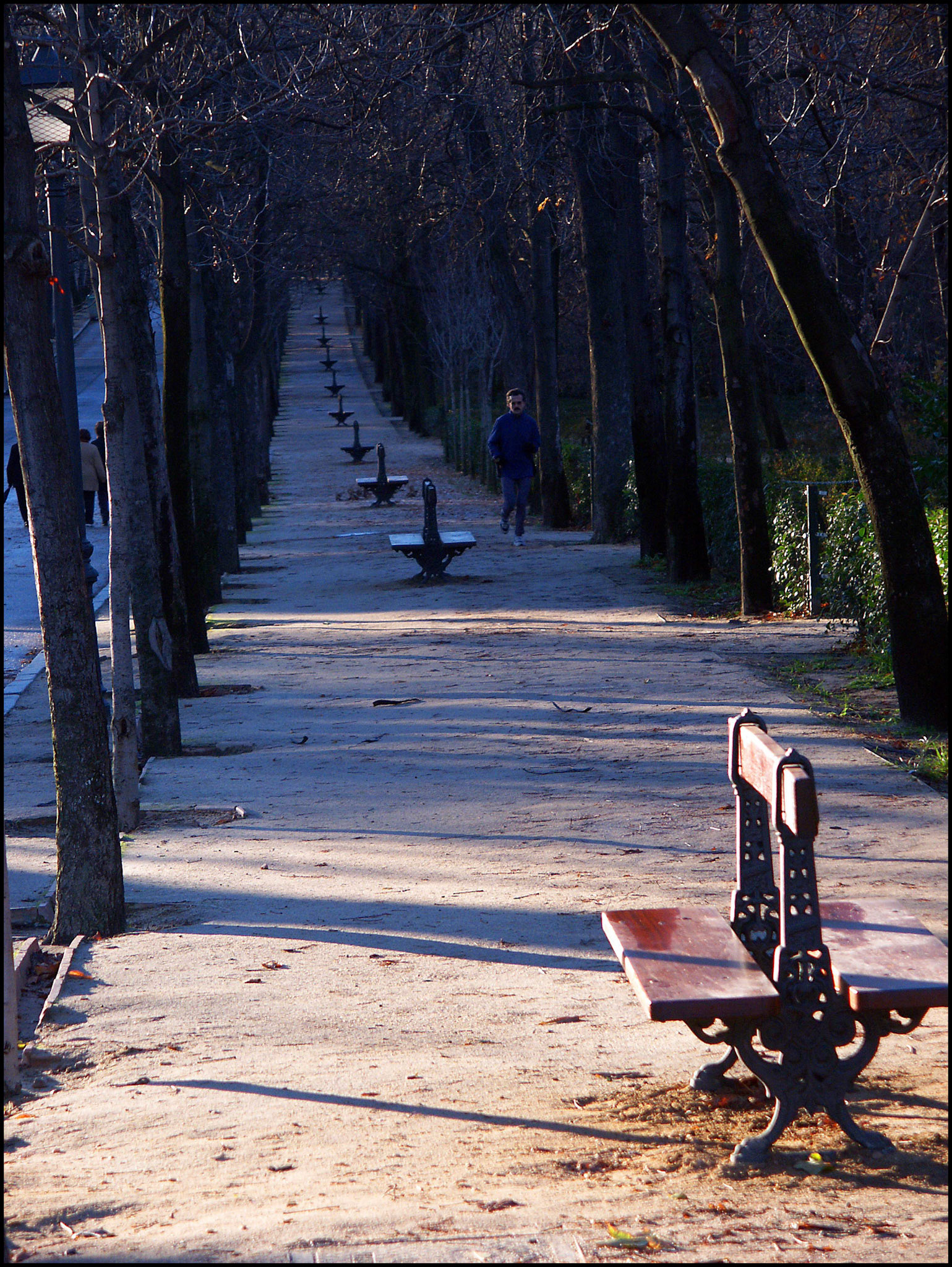 El parque del Retiro en Madrid. Ampliar