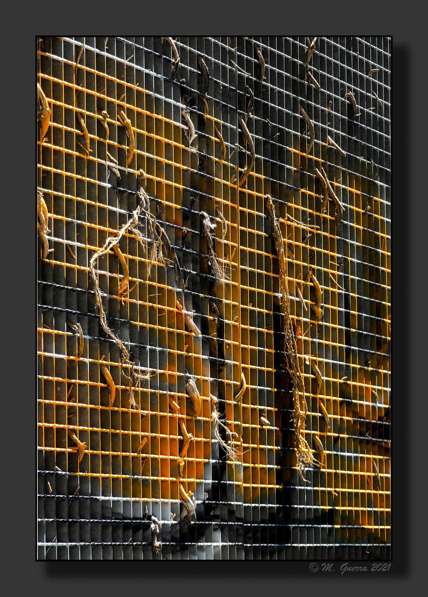 Reja con pintada