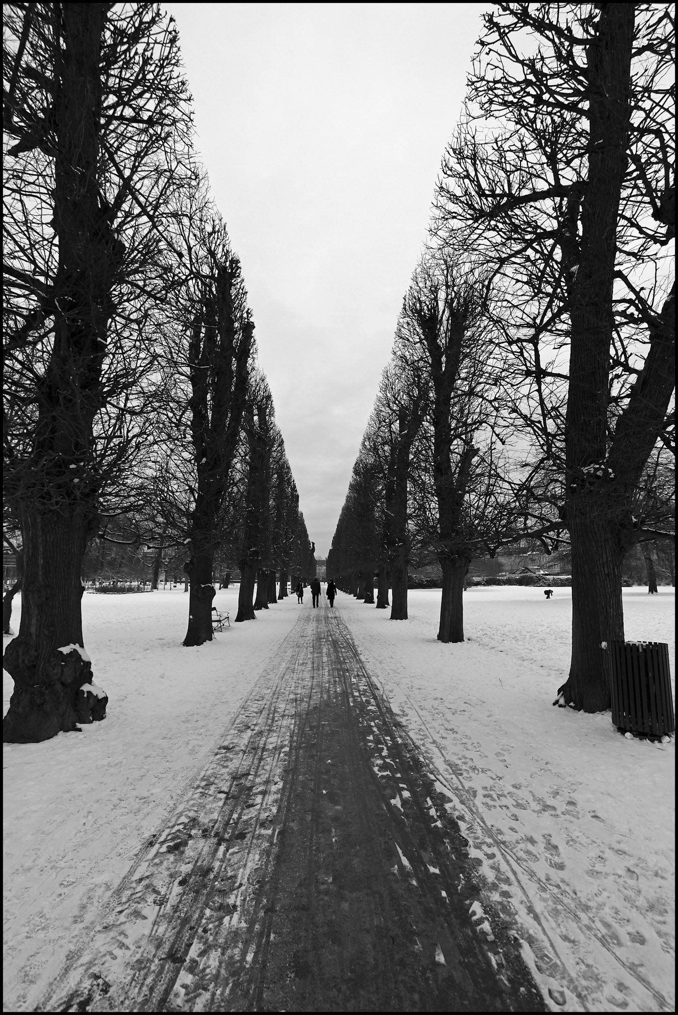 Parque al lado del palacio real de Copenhague. Ampliar. 100ASA