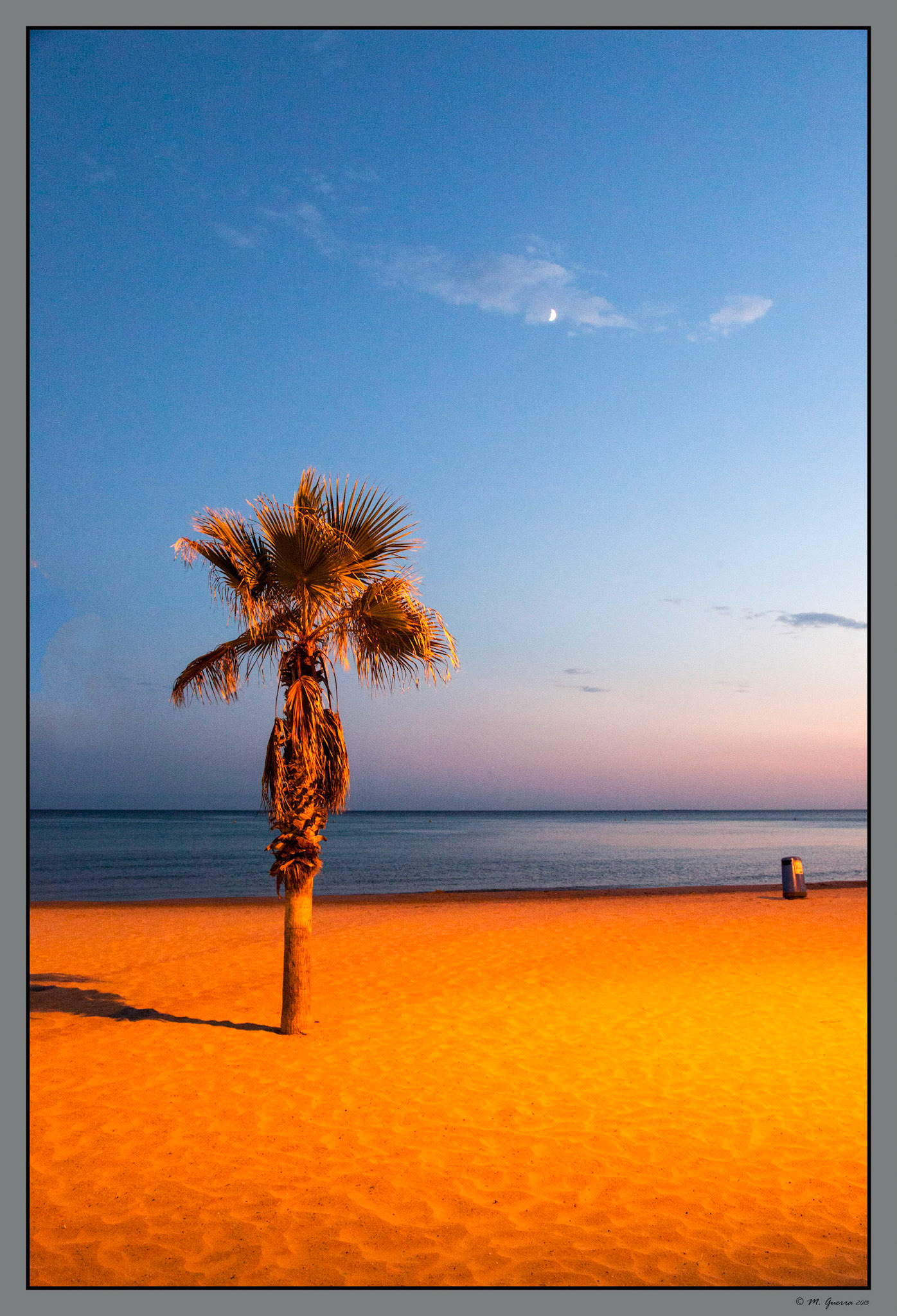Una palmera en La playa de Calpe al atardecer. Ampliar