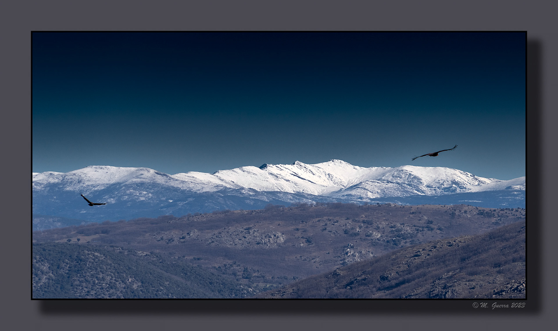 Dos águilas volando sobre La sierra de Guadarrama con nieve. 100ASA