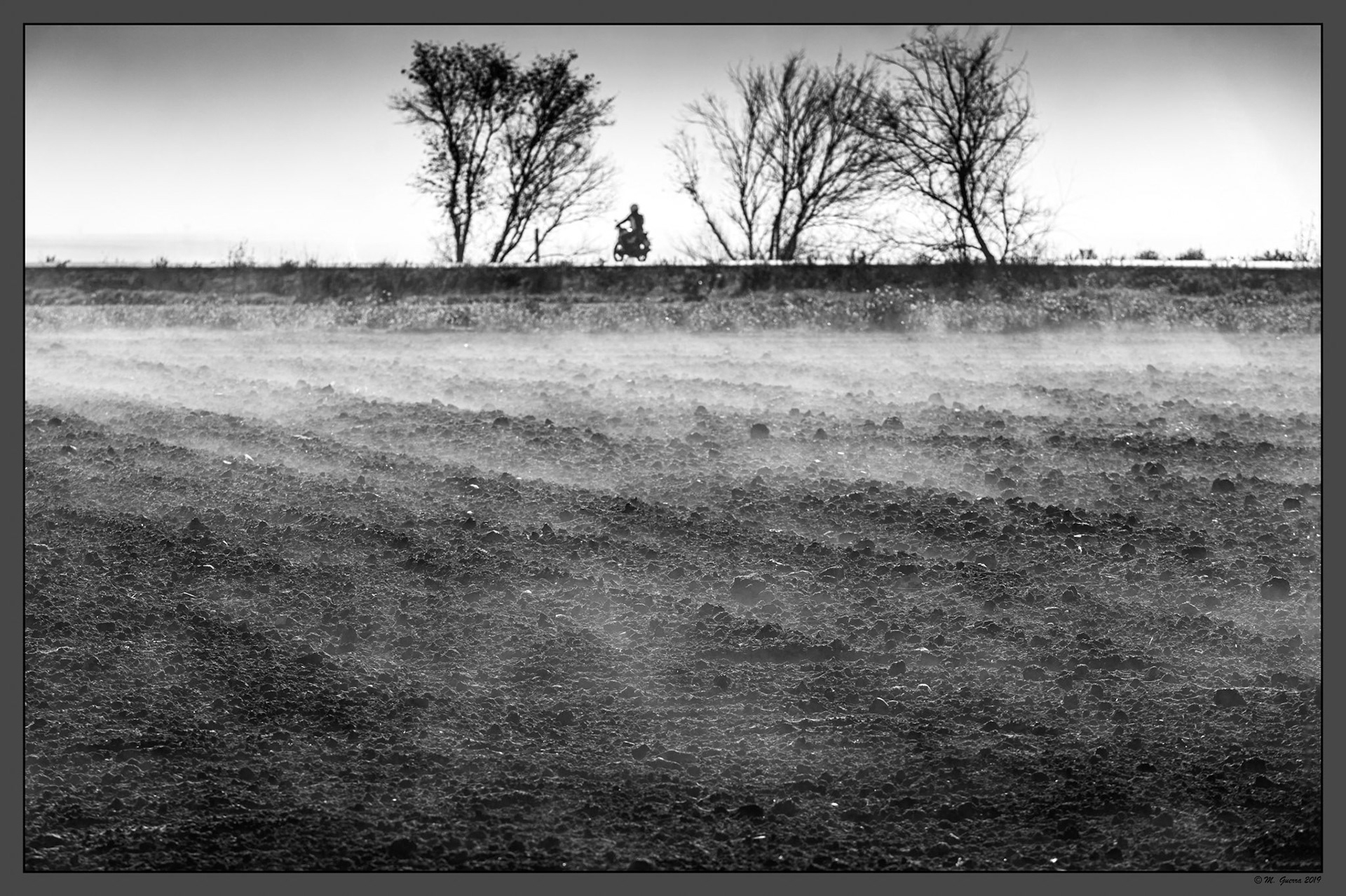 Campo con niebla en Campo Real. Ampliar. 100ASA