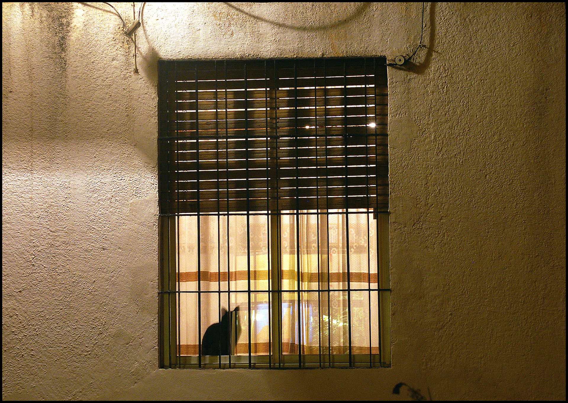 Gato en ventana en Córdoba. Ampliar. iStock posible