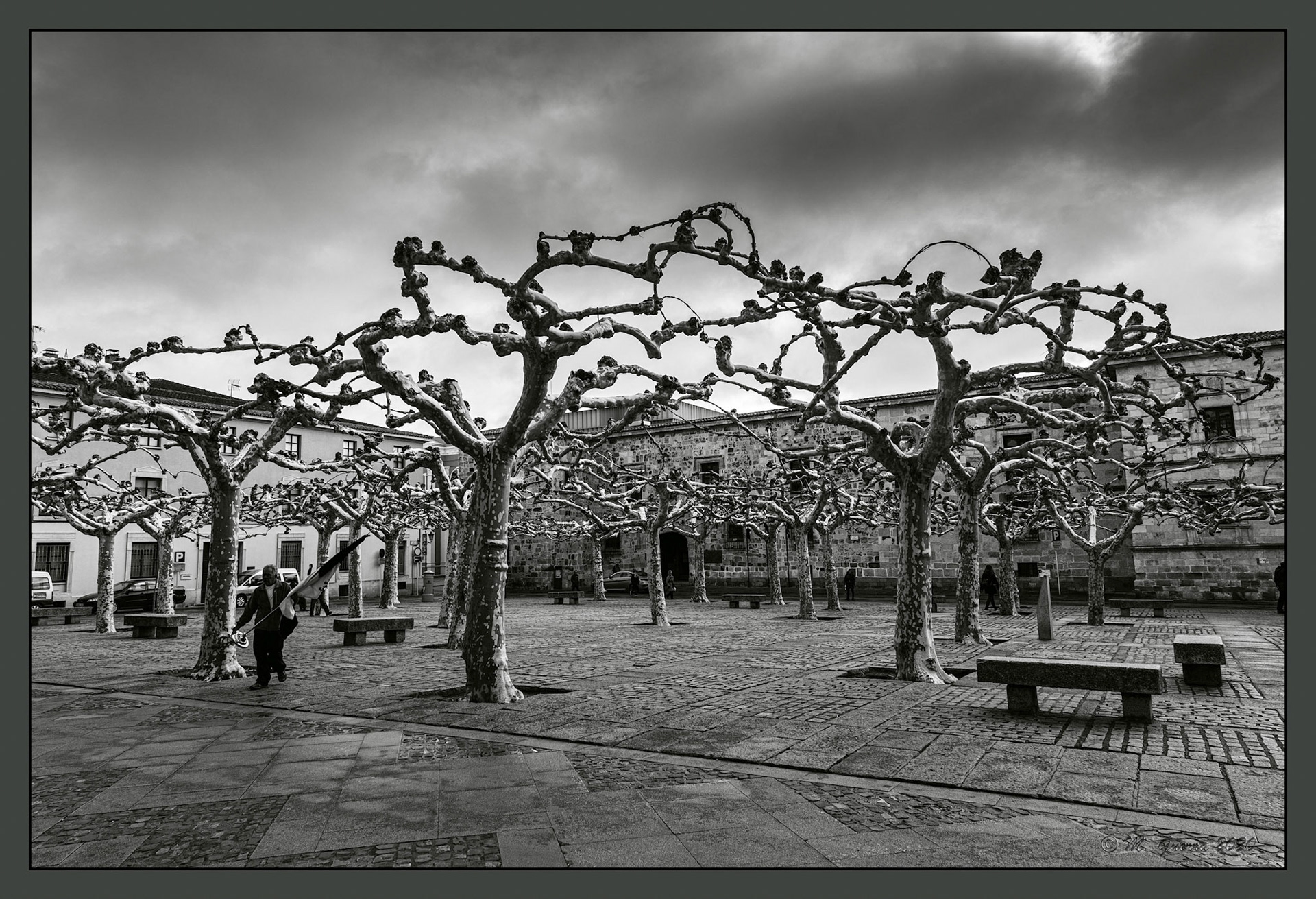 La Plaza de Viriato en Zamora