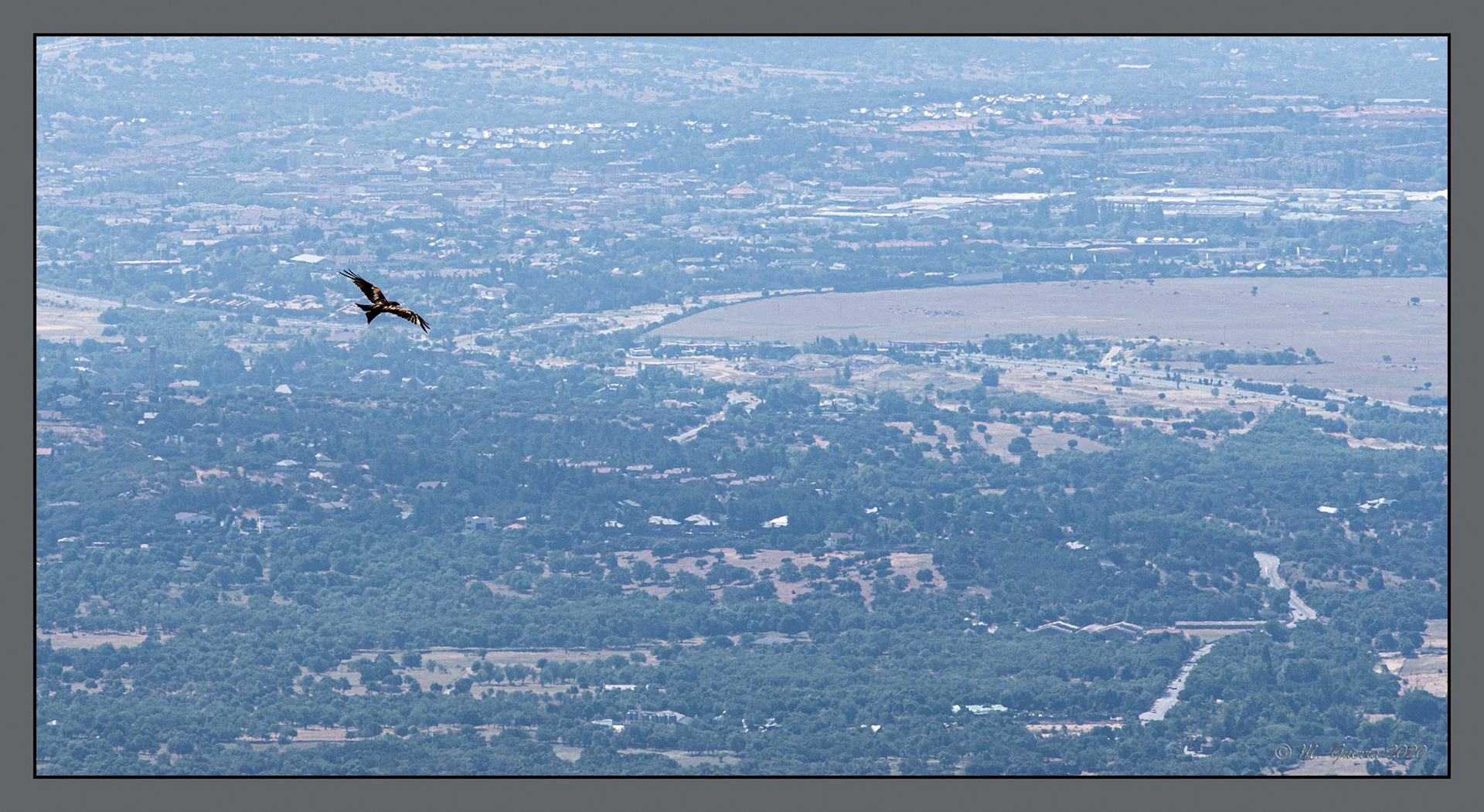 Águila en el Alto del León