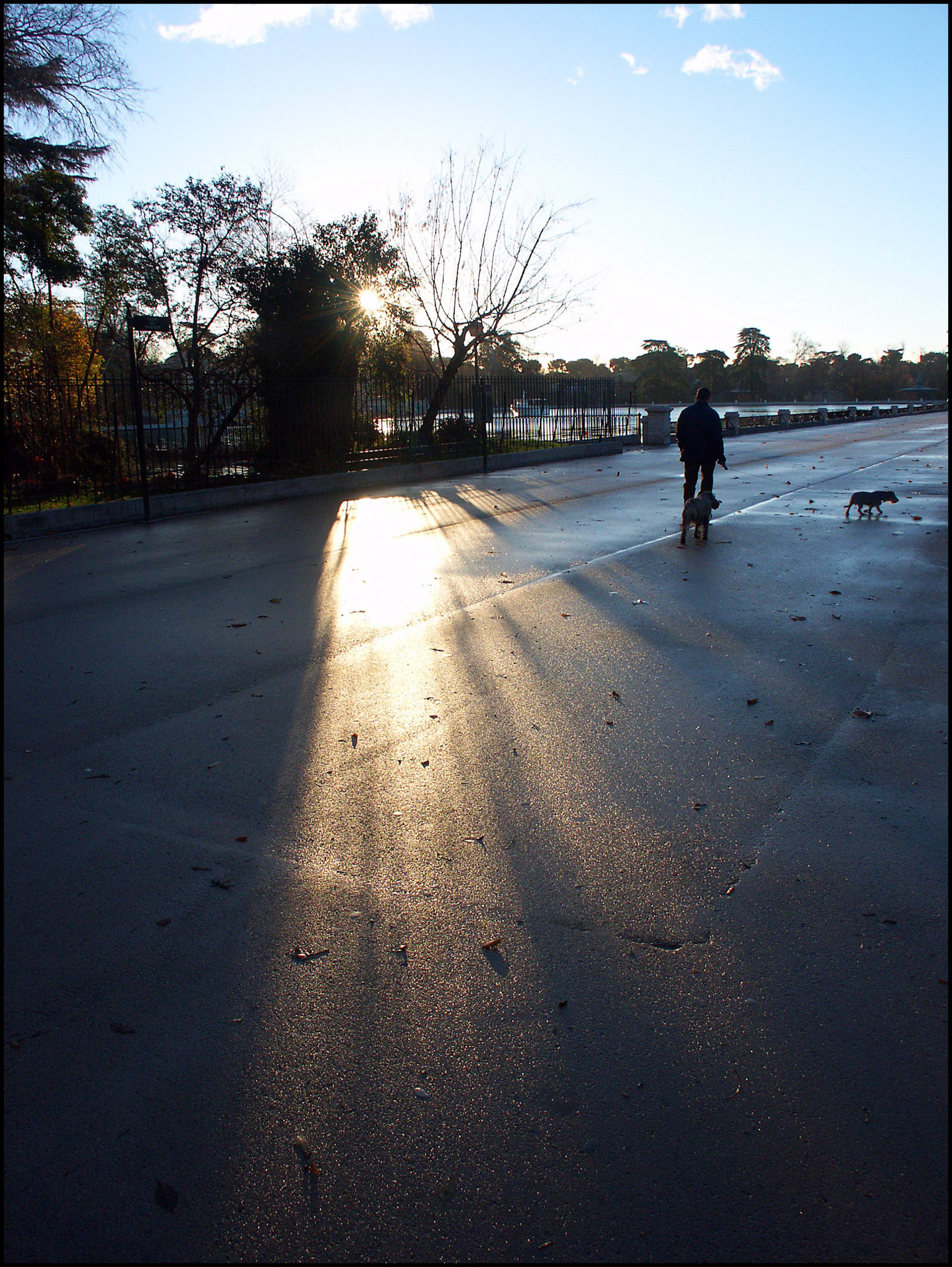 El parque del Retiro en Madrid. Ampliar