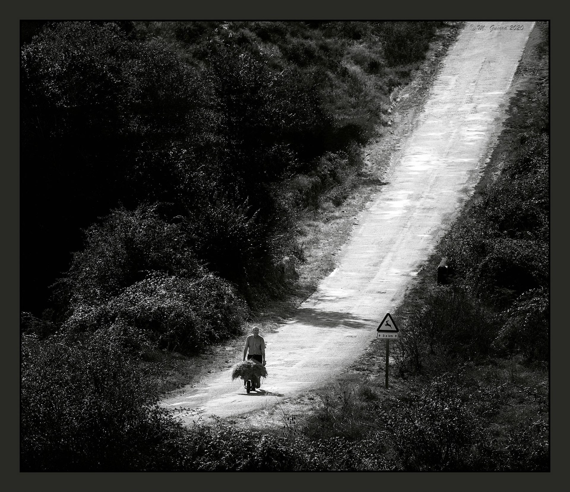 Agricultor con una carretilla en una carretera de Madriguera. Ampliar. 100ASA