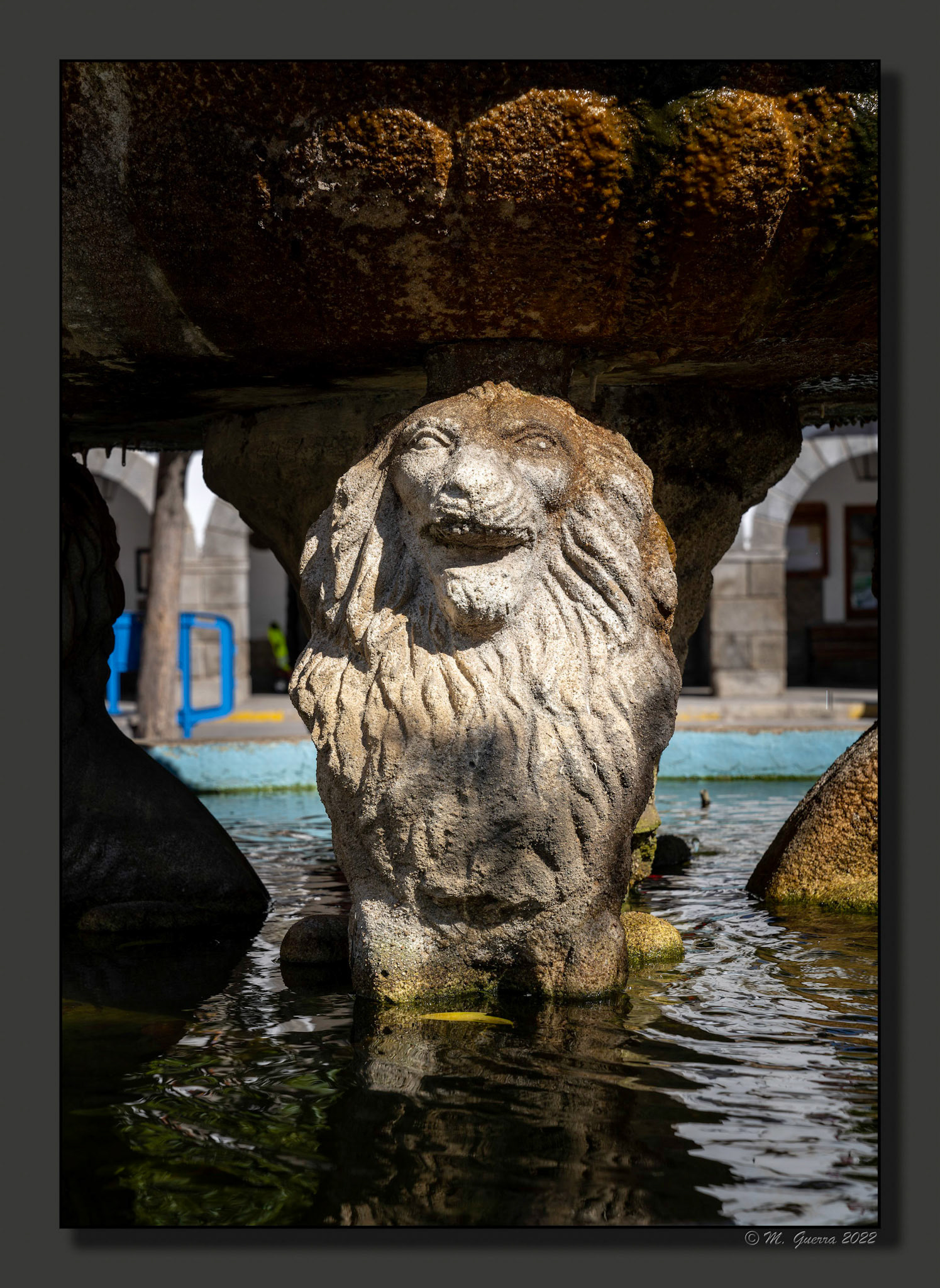 Fuente con leones de piedra en El Tiemblo