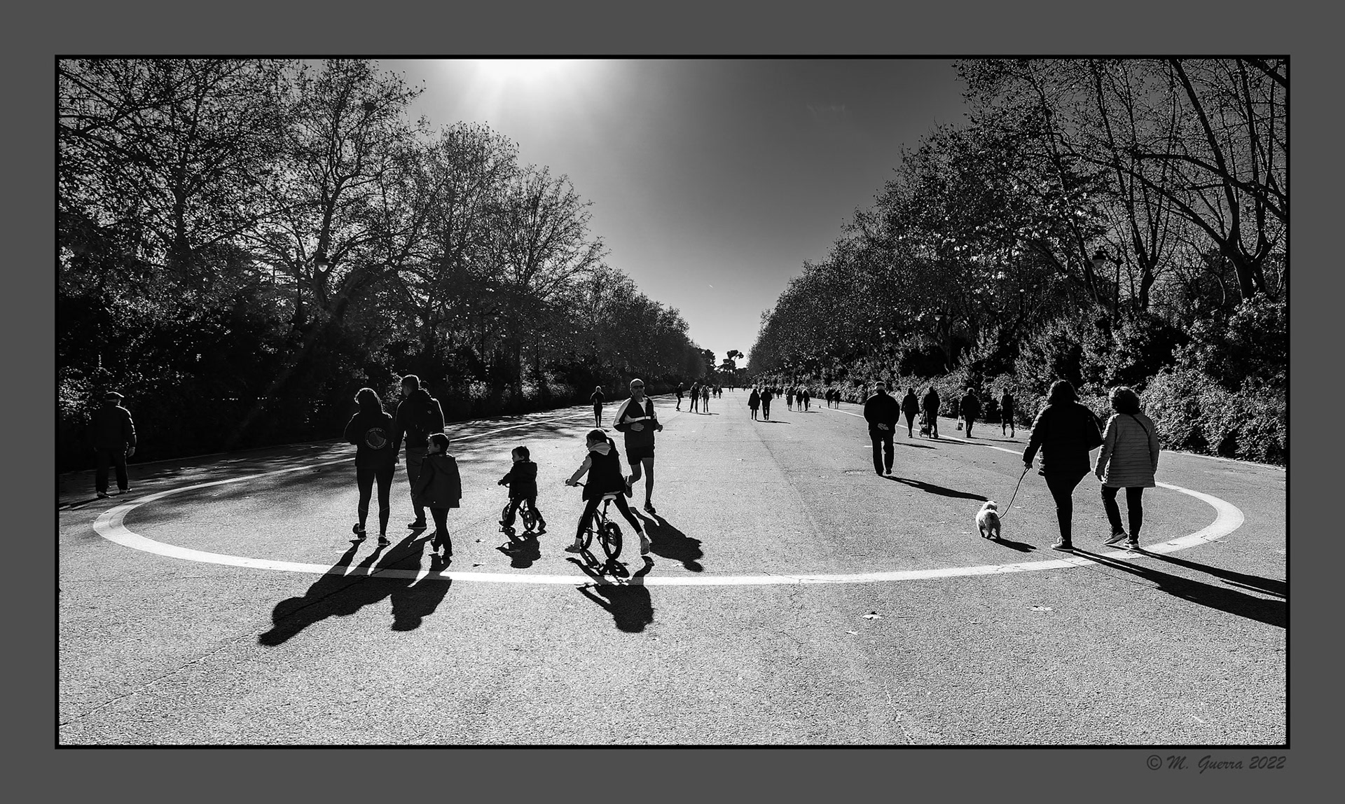 Paseo central en El Retiro. 100ASA