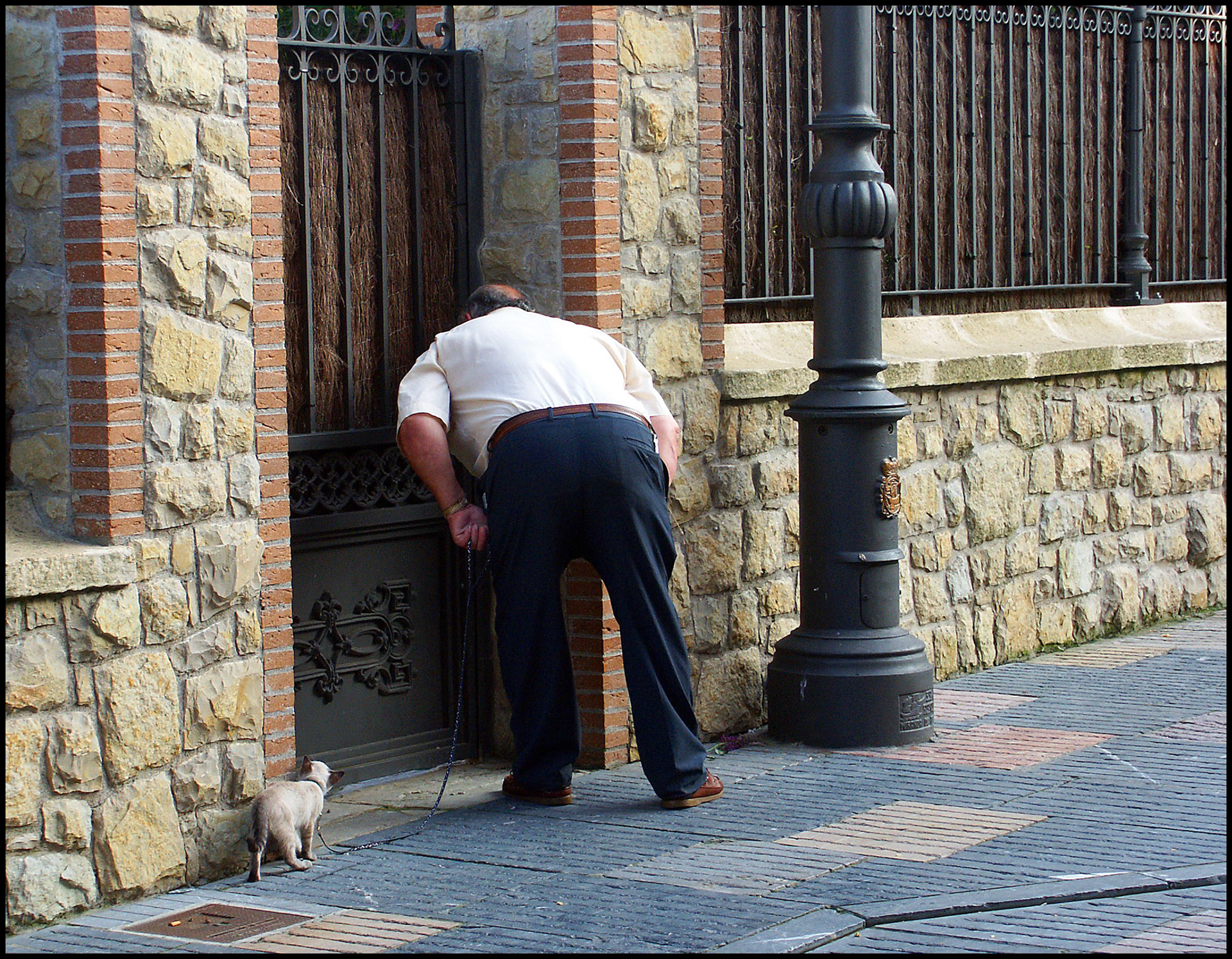 Un hombre paseando a su gato en Avilés, Asturias. Ampliar. 100ASA