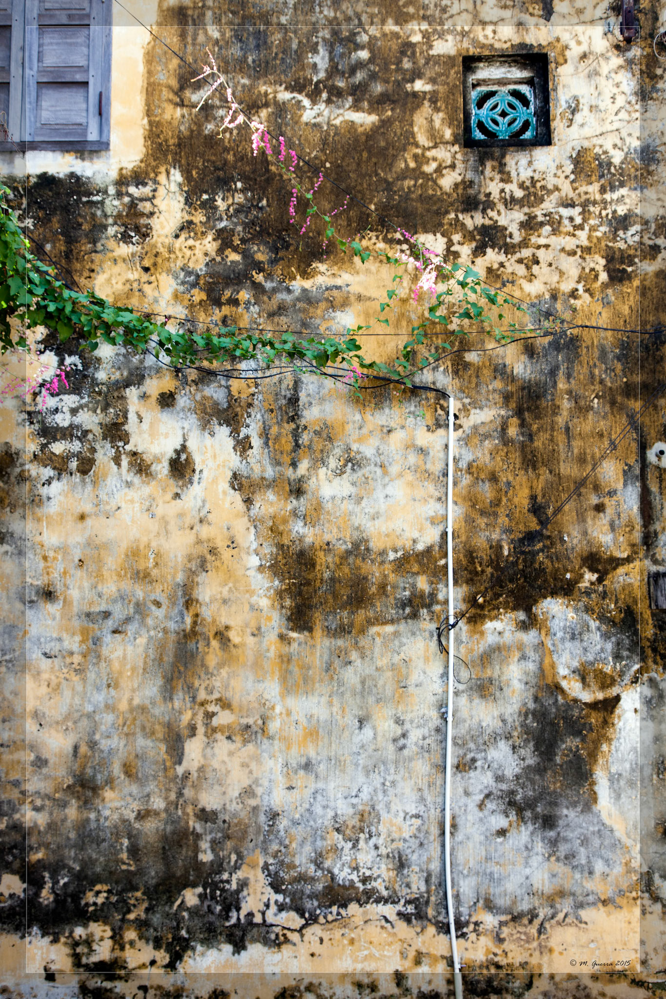 Pared con moho en una casa de Hoy An. Ampliar
