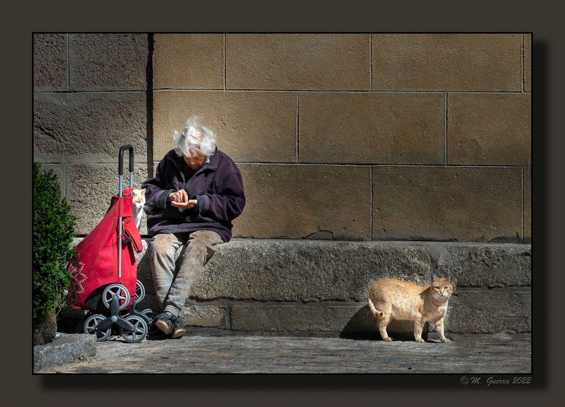 Mendiga con dos gatos en El Tiemblo