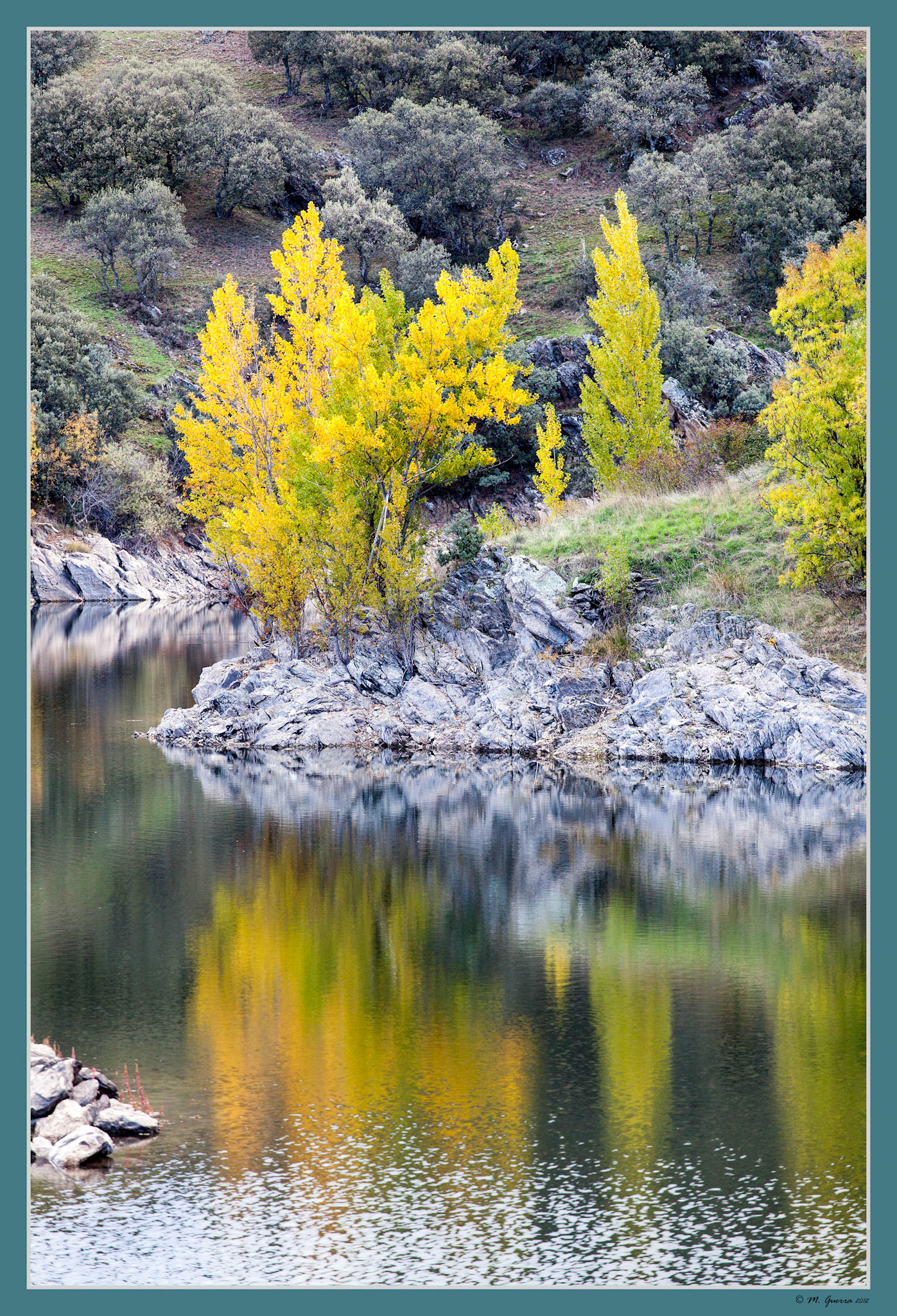 Árboles a la orilla del embalse en Buitrago de Lozoya. Ampliar