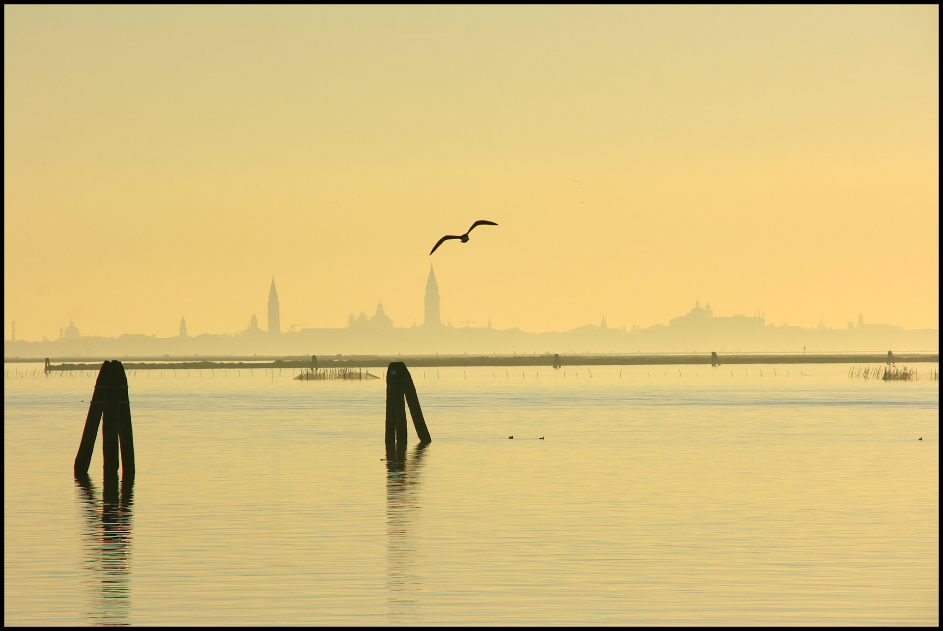 Venecia desde Burano. Ampliar. 100ASA