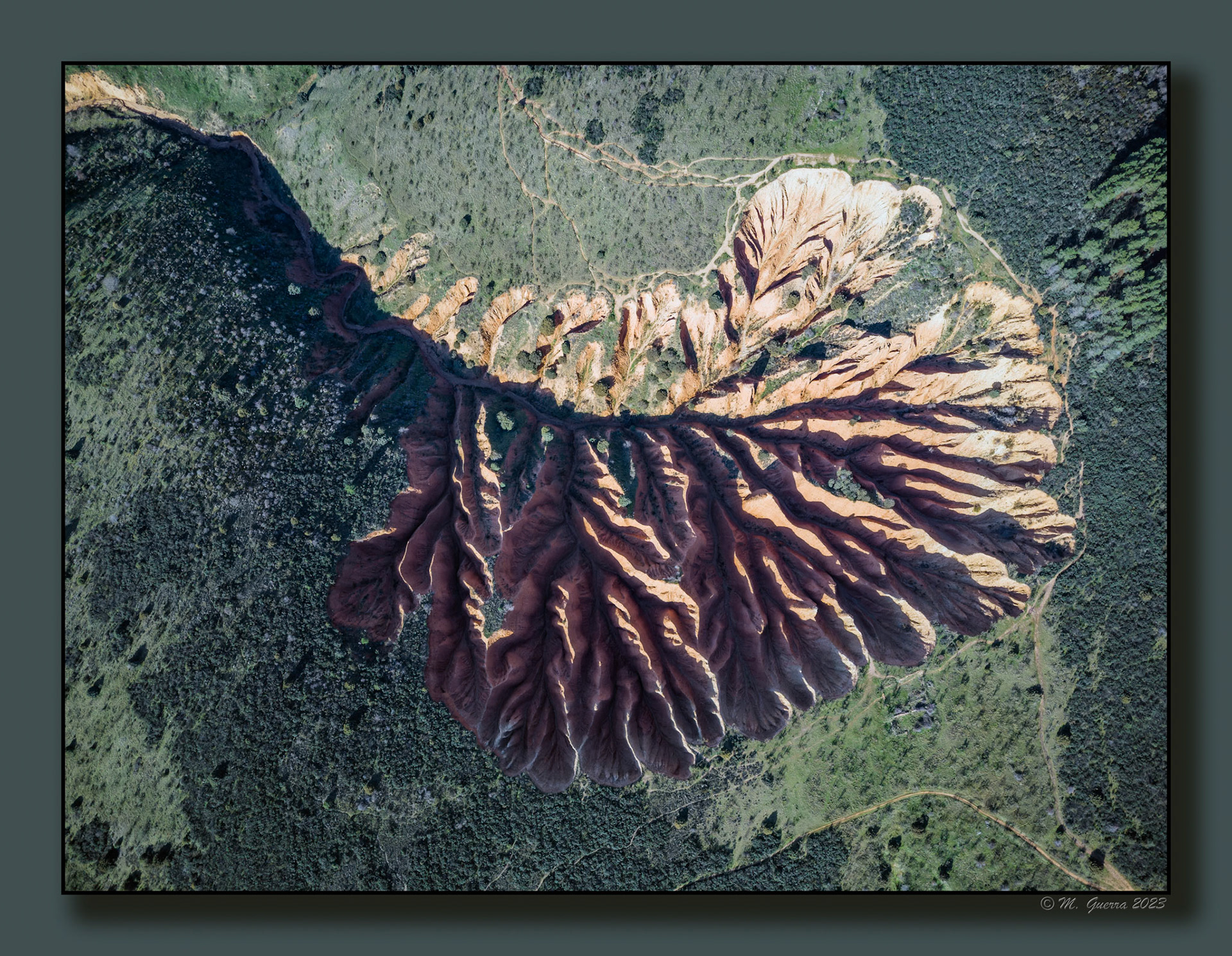 Las Cárcavas de la Oliva desde el dron