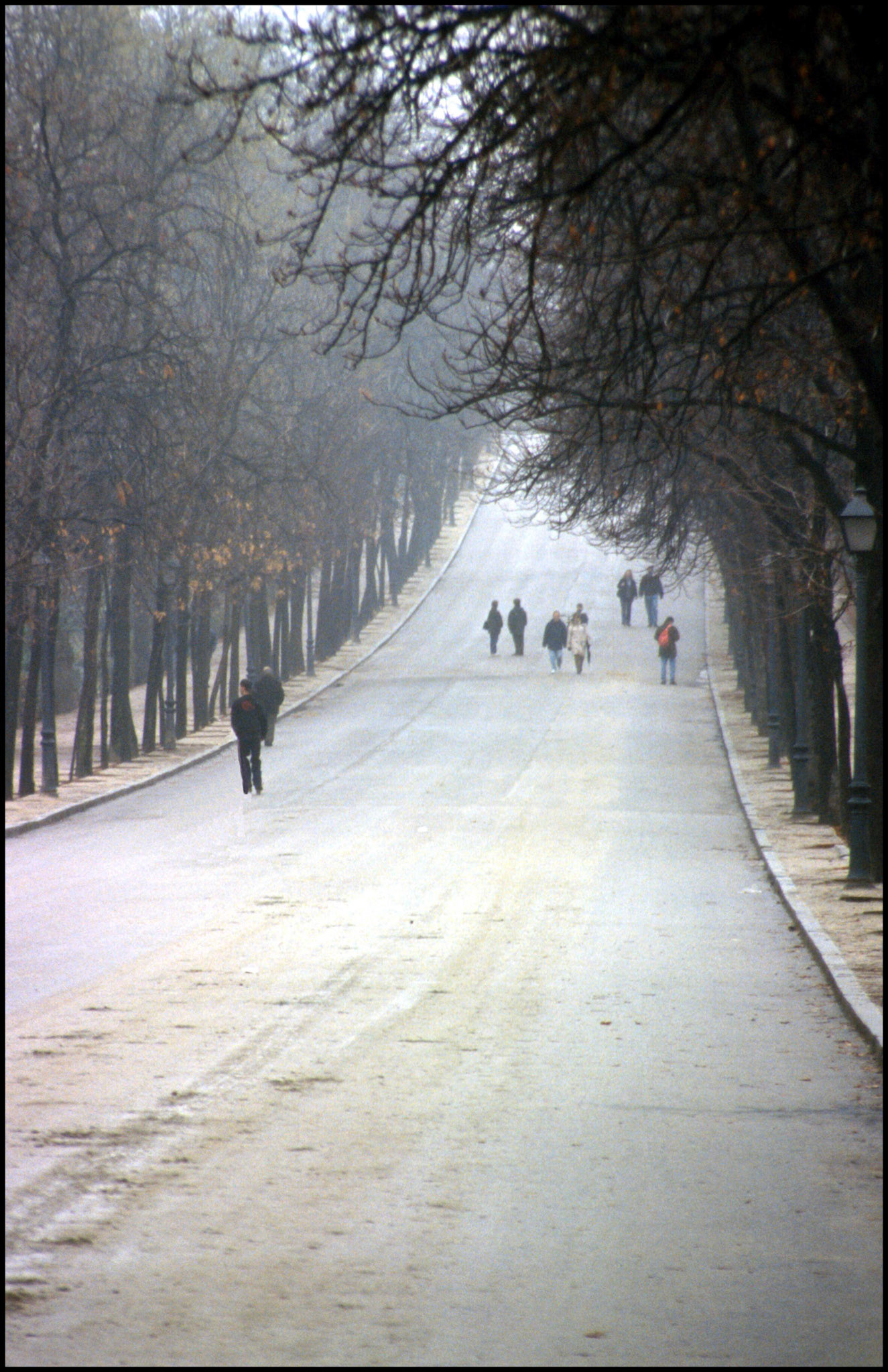 El Parque del Retiro en Madrid. Ampliar